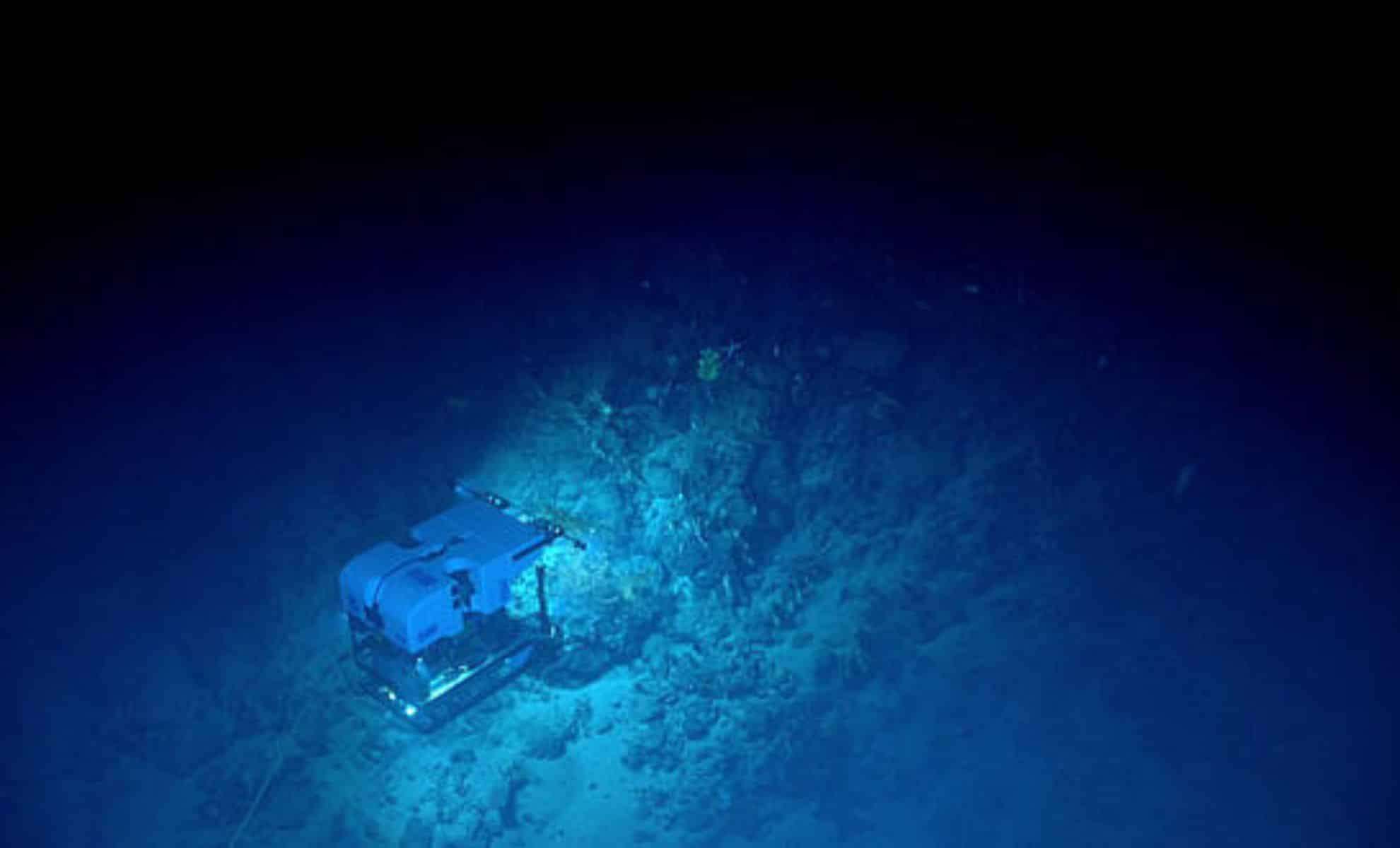 Ocean Currents at Risk: New Evidence Points to a Potential Collapse with Global Climate Implications 