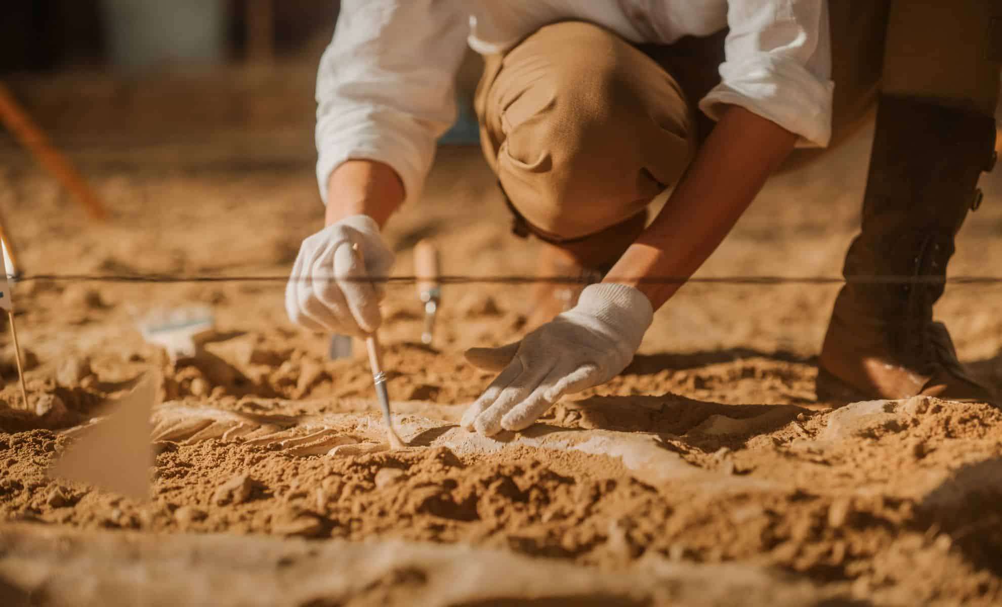 Massive Dinosaur Vertebra Unearthed by University Students in Texas 