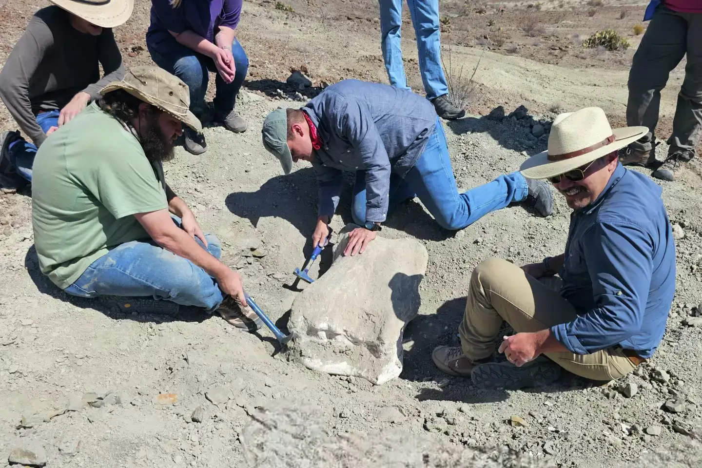 Sul-Ross-State-University-geology-students-unearthed-a-fossil-belonging-to-an-Alamosaurus-e1c1f5590500e10c1b43742cb308465e.webp