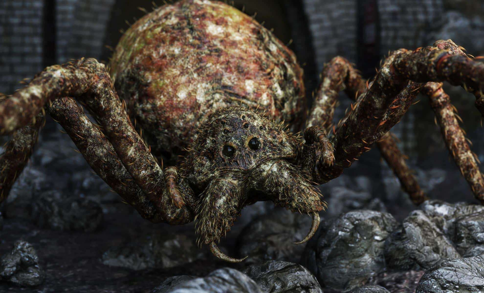 Discovery of Gigantic Jurassic Spiders Sheds Light on Arachnid Evolution 