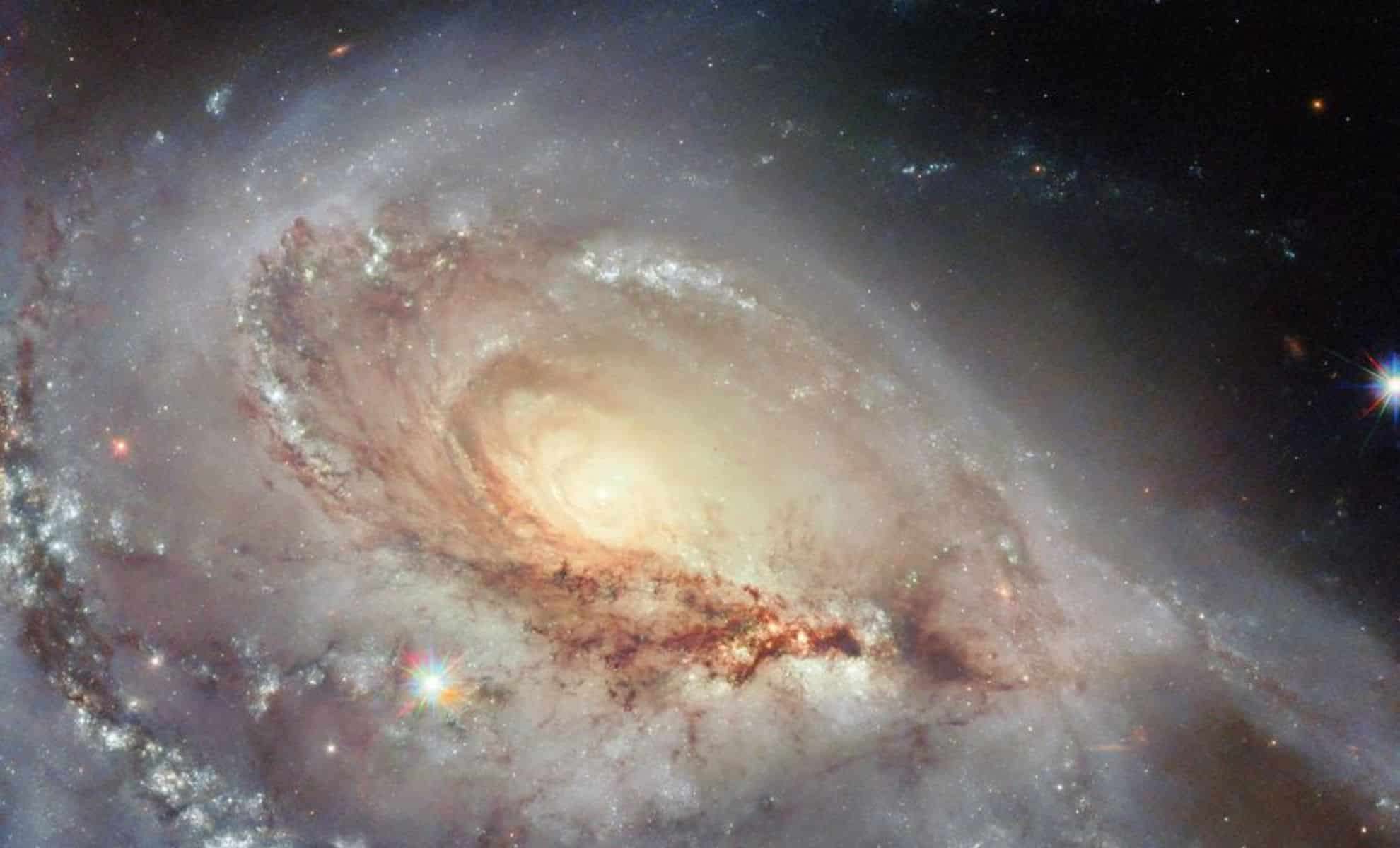 Hubble Captures a Rare One-Armed Spiral Galaxy, Arp 184, in Striking Detail 
