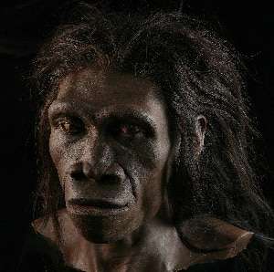A-reconstruction-of-a-Homo-erectus-female-be84b9c071fb229ea0521e8cc6a09153.jpg