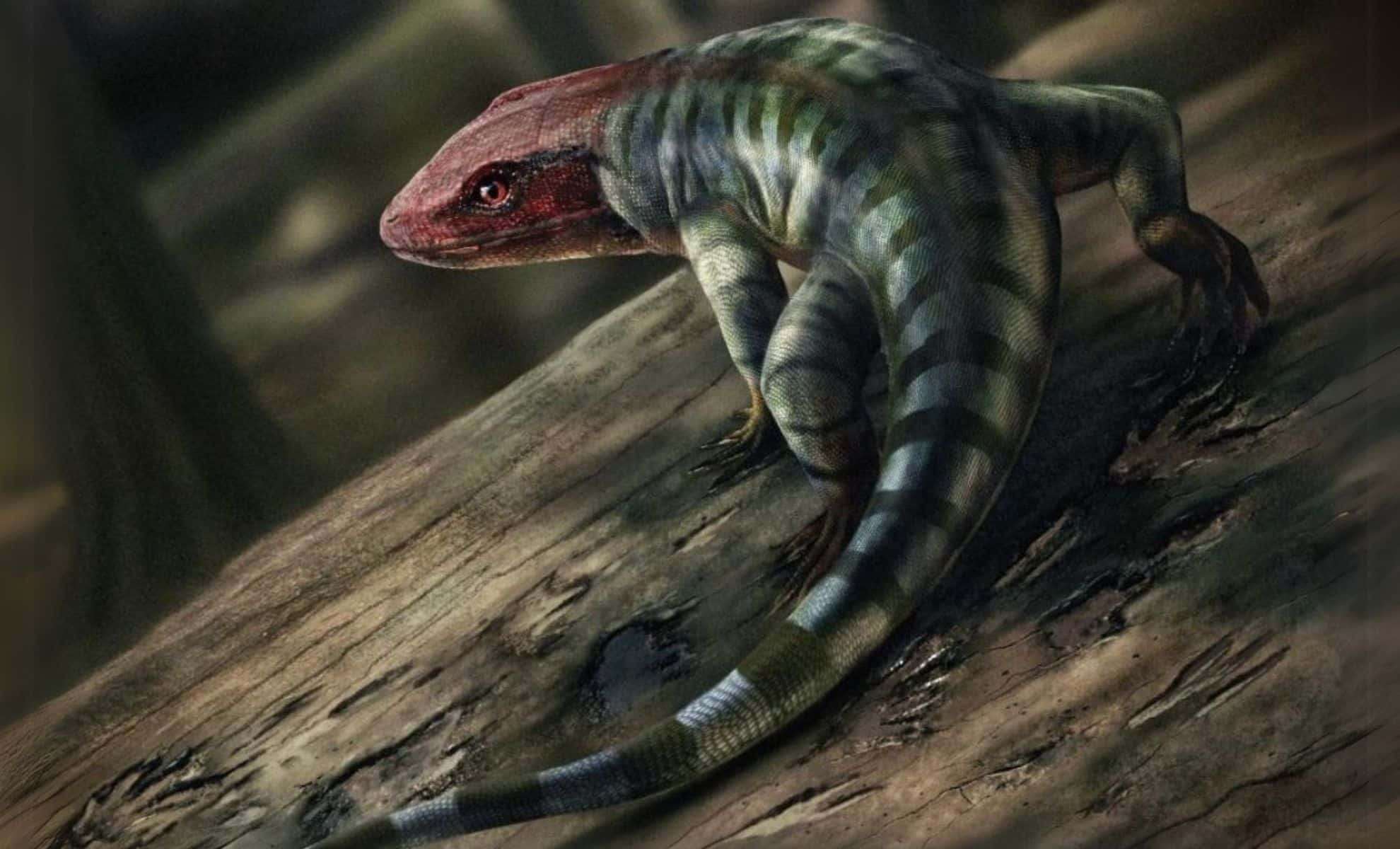 Ancient Reptile Tracks Unearthed in Australia Rewrite the Timeline of Terrestrial Life by Millions of Years 