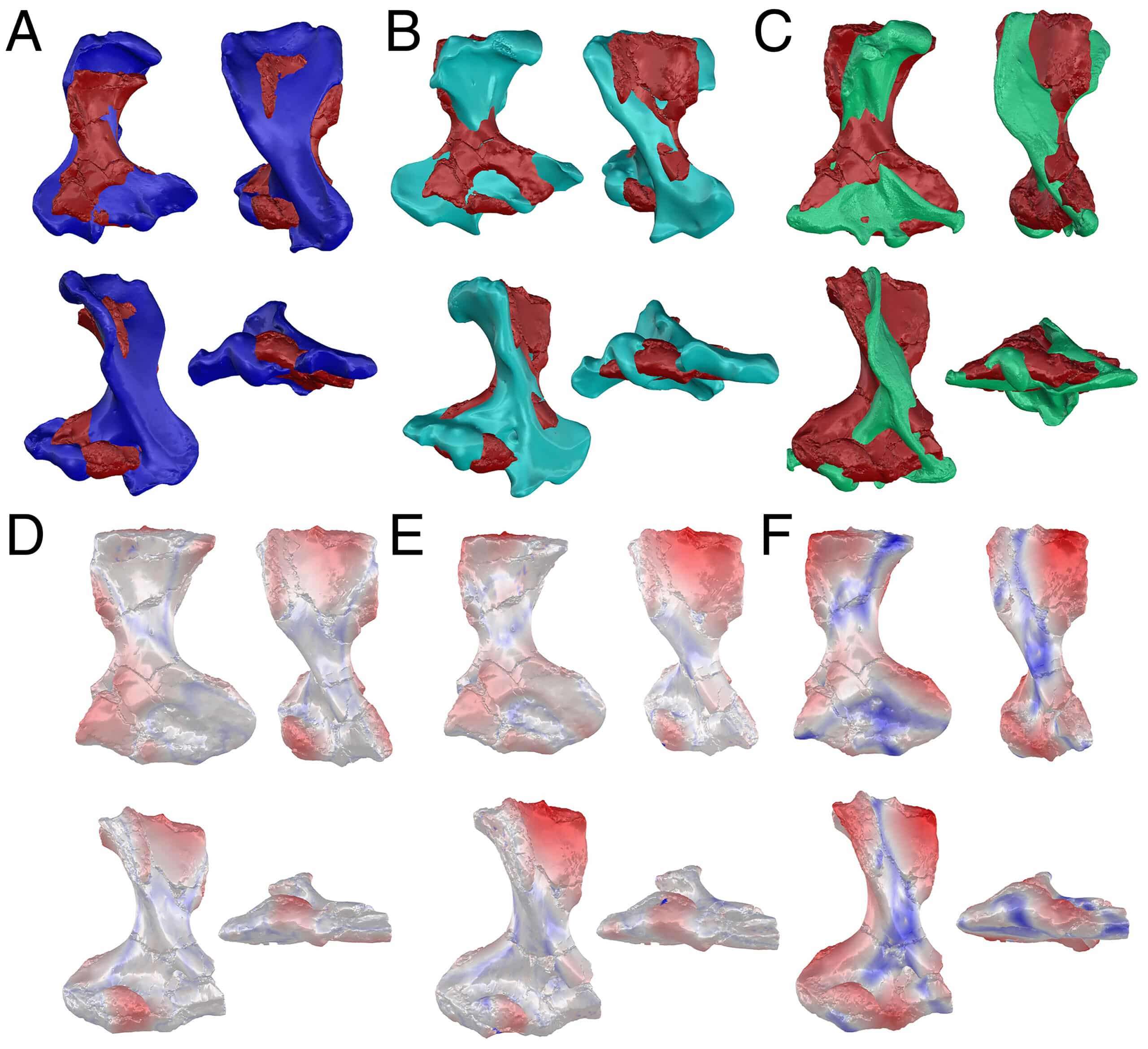 Credit-pnas.org_-scaled-06bc666ae52051147cd82400b45bf6df.jpg