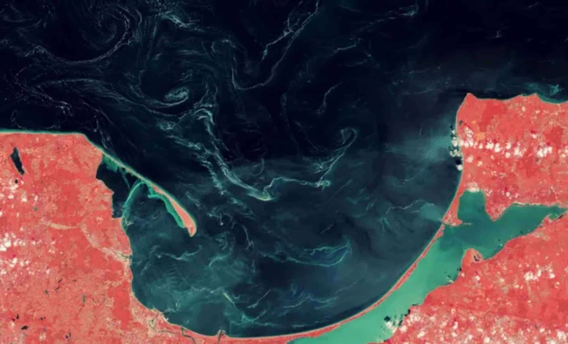 Satellite Data Reveals Unexpected Pine Pollen Swirls in the Baltic Sea 