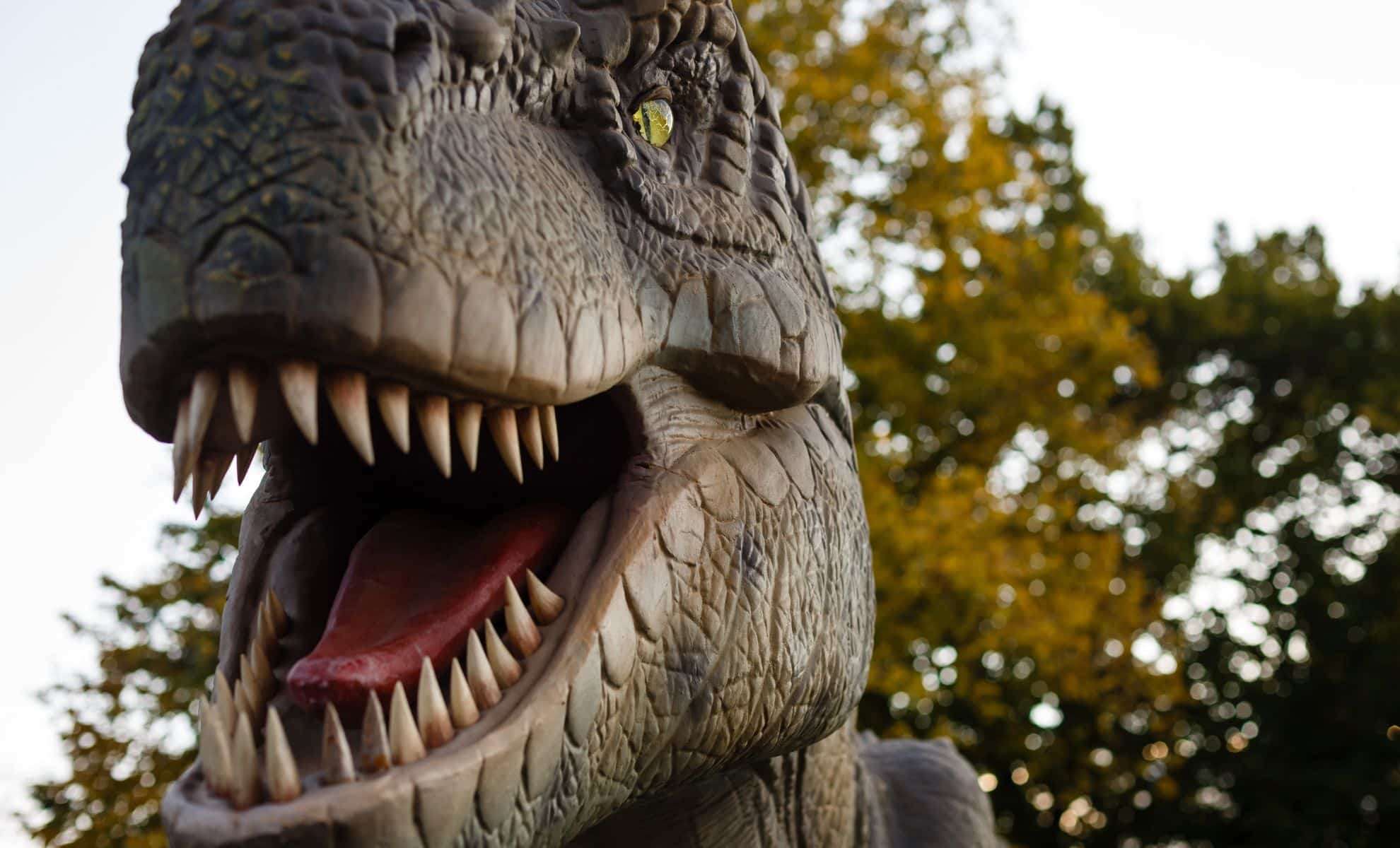 New Study Unveils the Ancestral Origins of T. Rex Across Asia and North America 