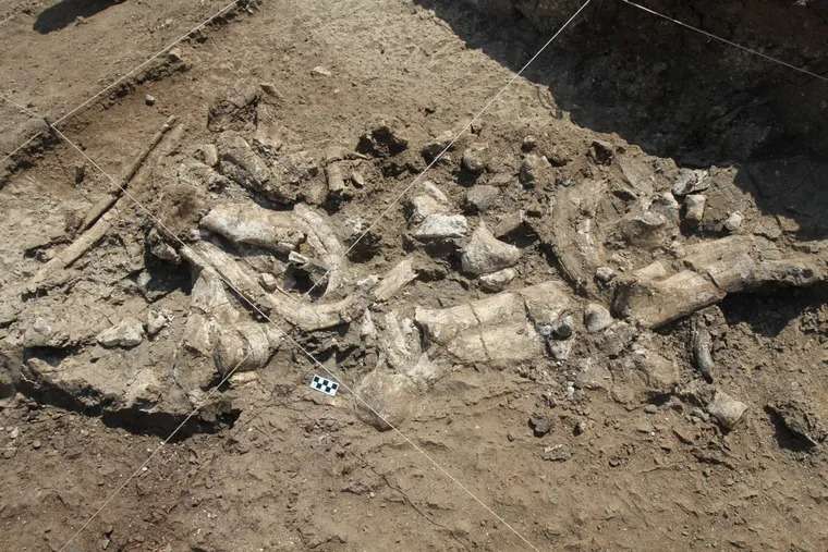 scientists-find-3-million-year-old-tools-but-they-were-not-made-created-by-our-ancestors-bf62369394d642aa6bcf586c7e113e03.jpeg
