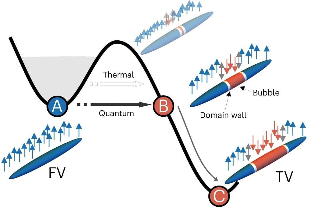 Mean-field-energy-and-bubble-formation-760b9055e6efdf0f00bb5a22dd9a7ce0.jpeg