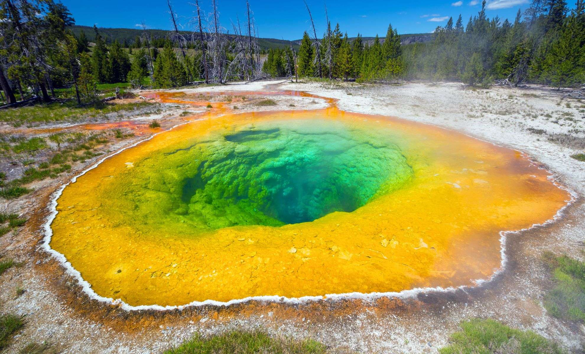 Discovery of Enormous Ancient Viruses in Yellowstone’s Acidic Hot Springs Redefines Life’s Origins 