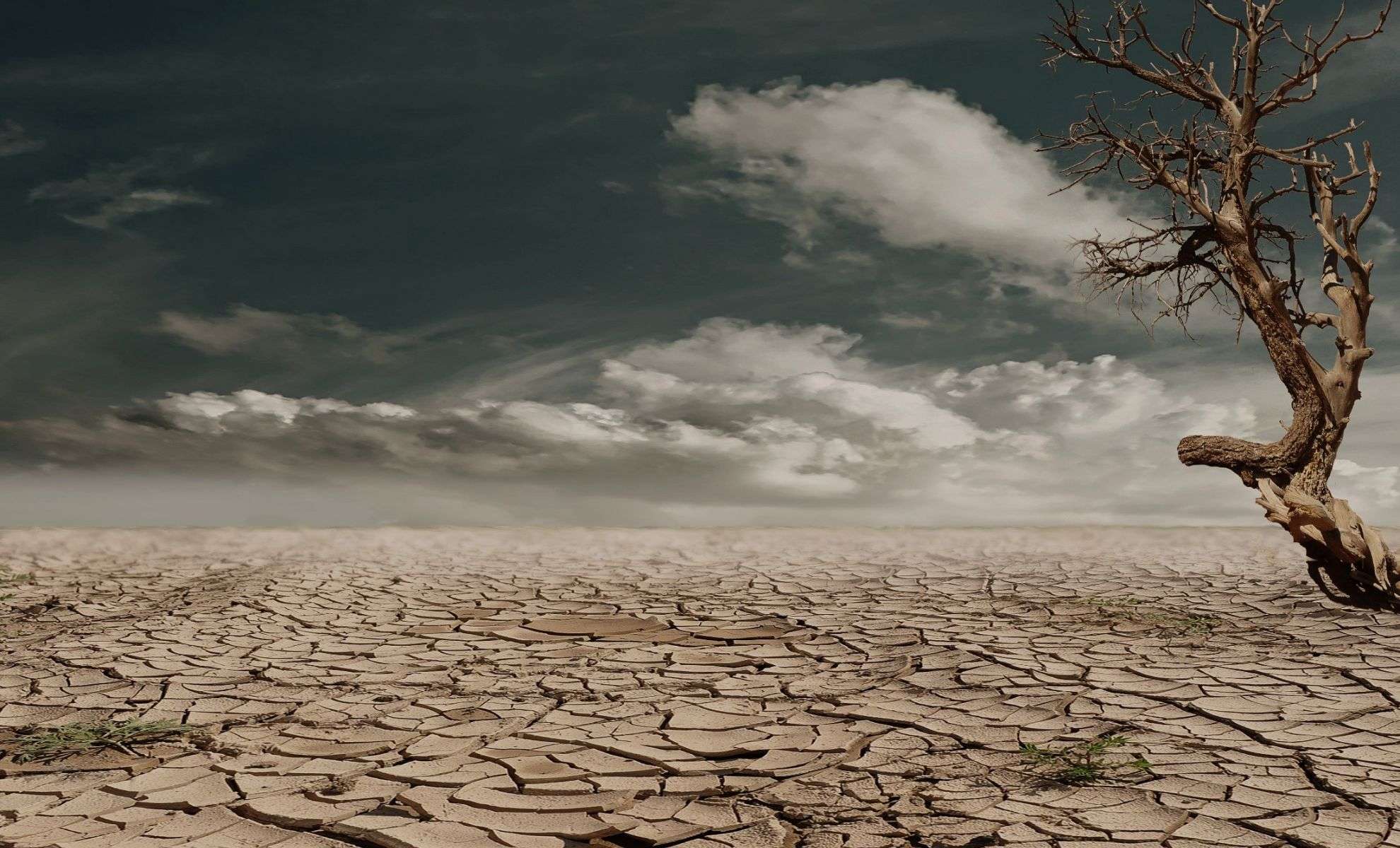 Irreversible Shifts in Global Rainfall Could Threaten Water Security for Billions 