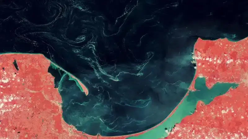 asatellite-image-showing-swirling-slicks-in-the-baltic-sea-off-the-gulf-of-gdansk-in-poland-963d9d8f09d19716e4a5e43f77135565.webp