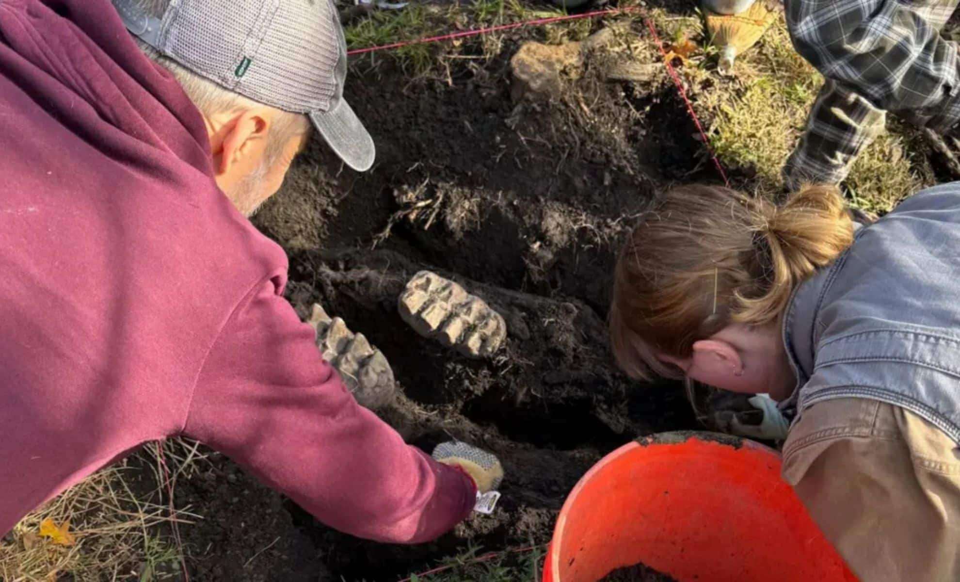 Teen Discovers 34,000-Year-Old Mastodon Jaw, Unlocking Ice Age Secrets 