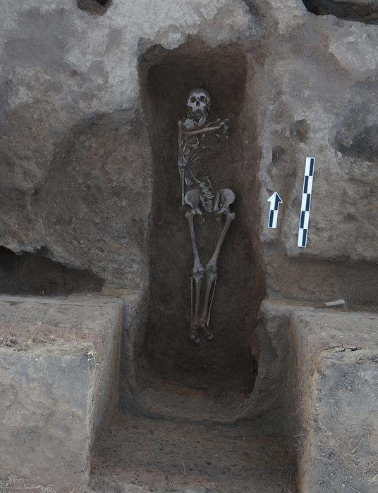 Credit-Yunnan-Institute-of-Cultural-Relics-and-Archaeology-febfd3f49115ff7673a5384452e4a636.jpeg