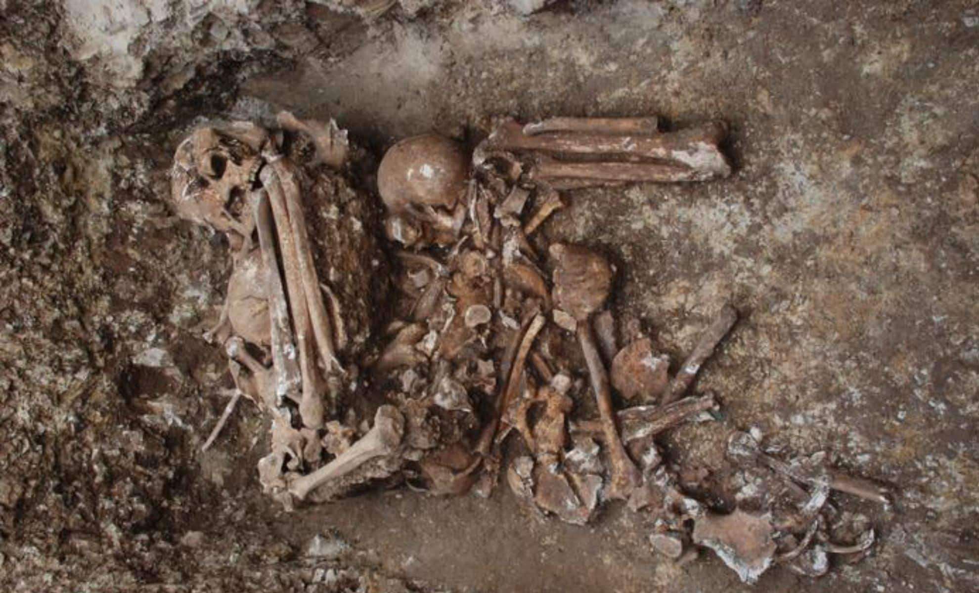 Ancient DNA Reveals Unknown Human Ancestor in Tibetan Lineage 