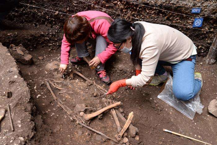 Yunnan-Institute-of-Cultural-Relics-and-Archaeology-1-50c095143706ea722a05136cbff79723.jpeg