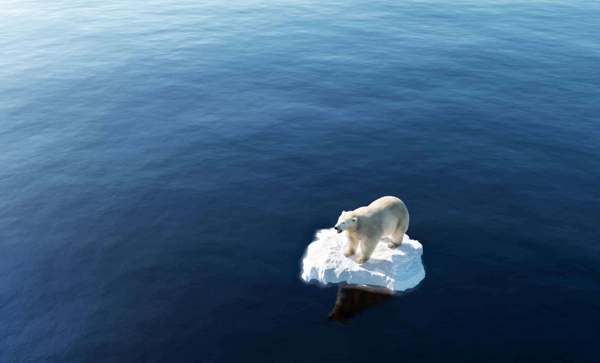 Global Temperatures Near Critical Thresholds as Climate Crisis Deepens 