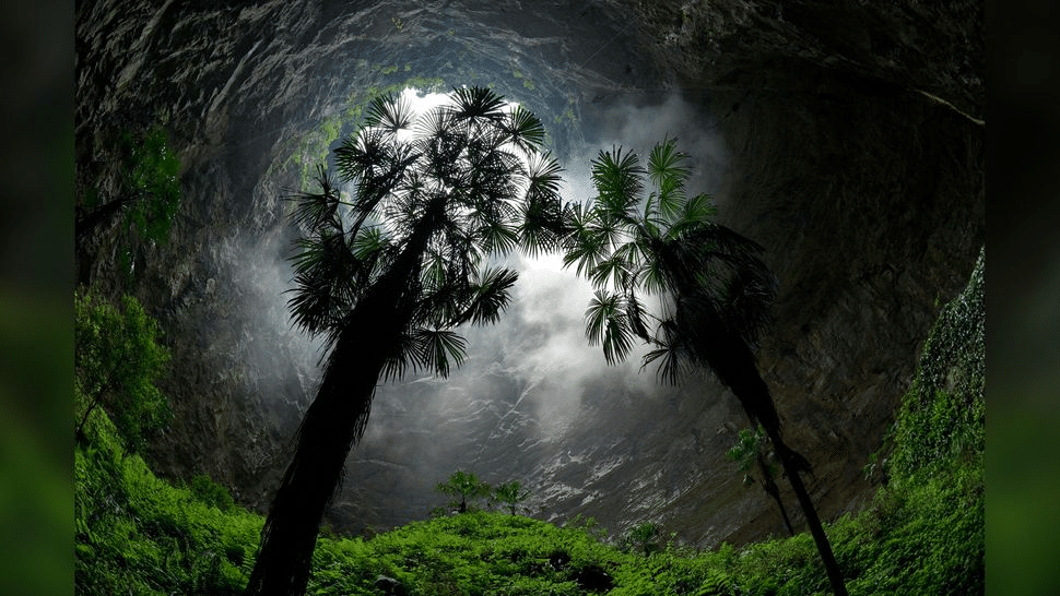 image-40-db1495a0f2c5f77594f08d8c1be02f0f.png