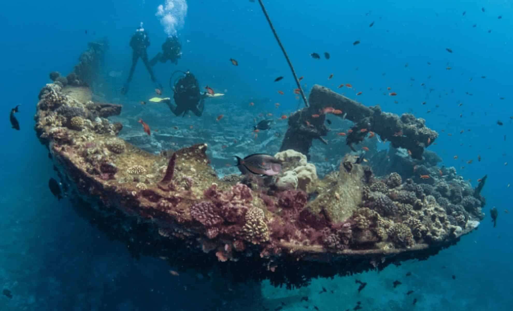 Portugal’s Coastal Waters Hide Shipwrecks Laden With 22 Tons of Precious Metals 