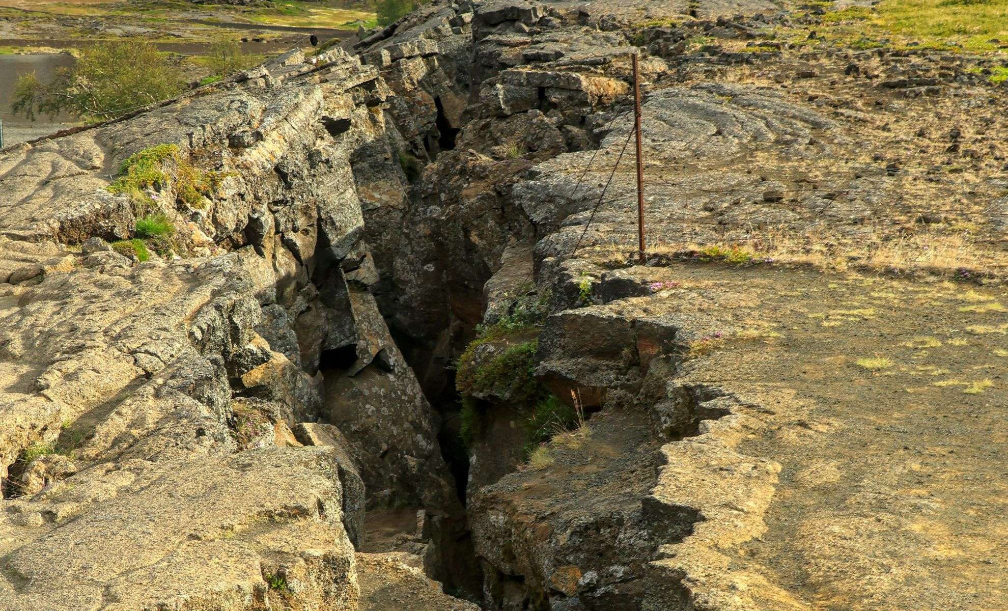 New Research Reveals Deep Fracture Splitting the Indian Tectonic Plate 