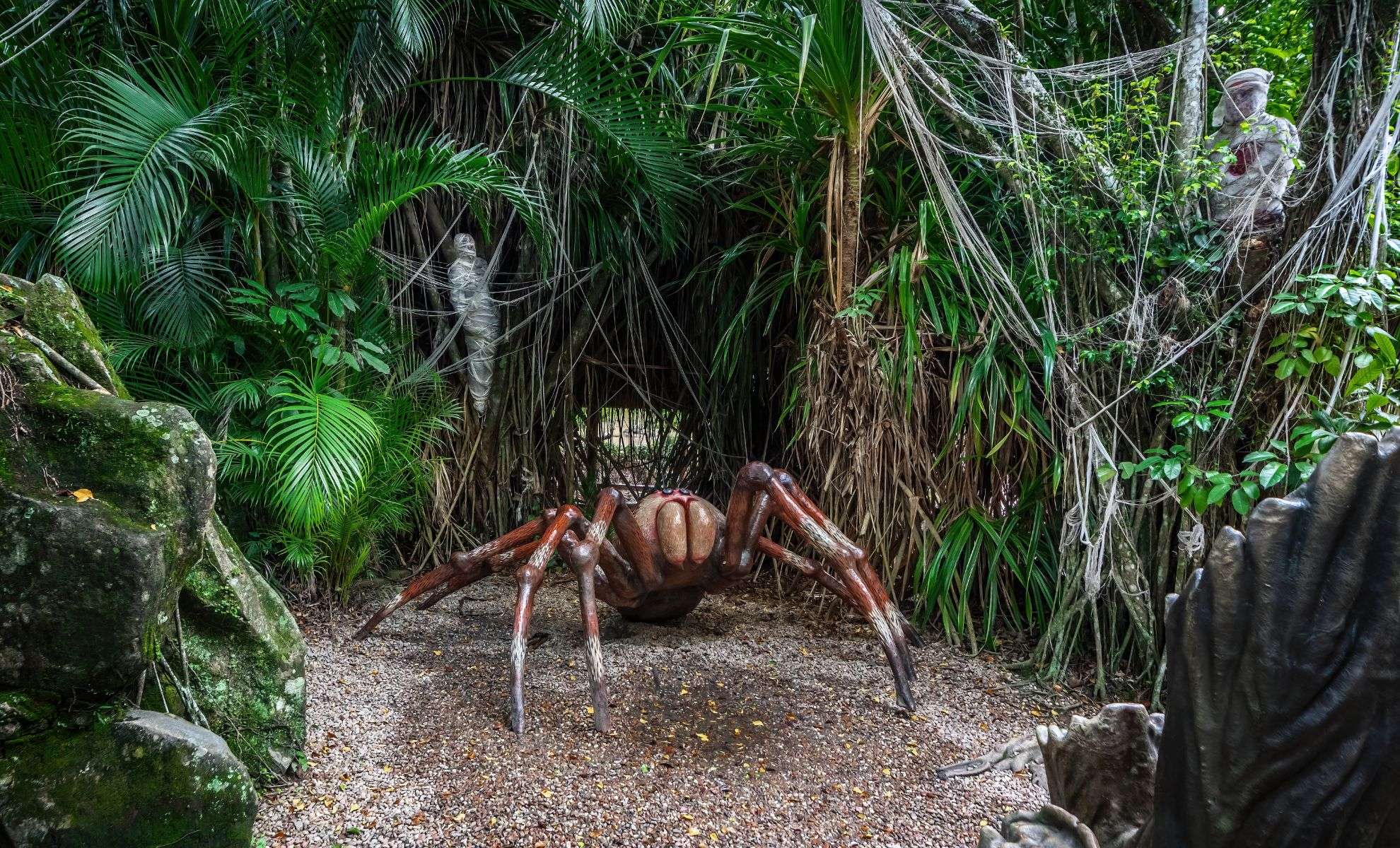 Giant Trapdoor Spider Fossil Unveils Ancient Australian Ecosystem 