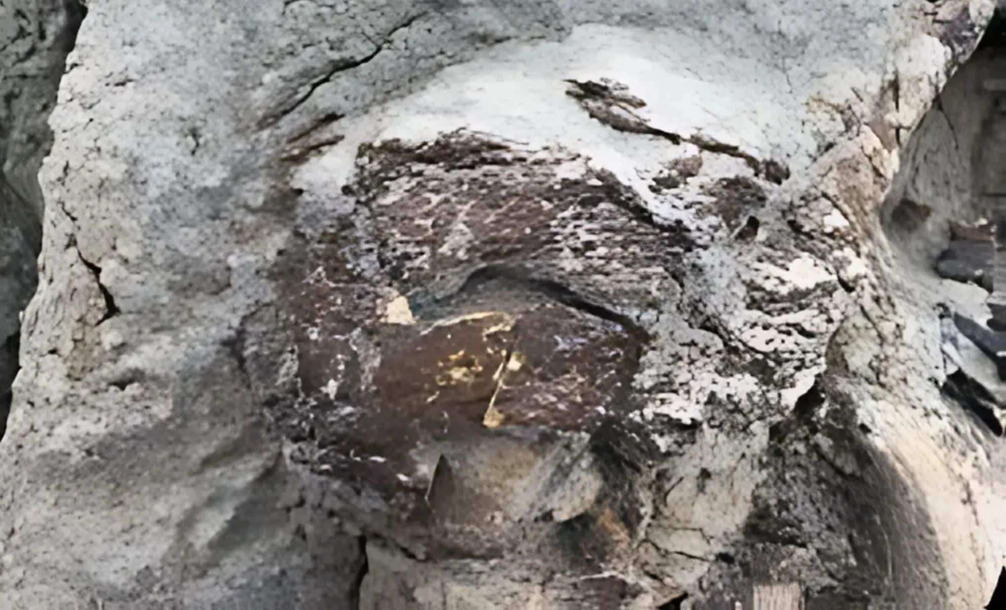 Remarkable Juvenile Hadrosaur Fossil with Skin Unearthed in Alberta 