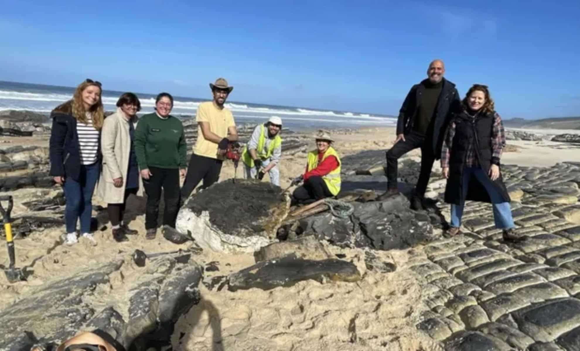 Uncovering a 190-Million-Year-Old Dinosaur Fossil on Portugal’s Coastline 