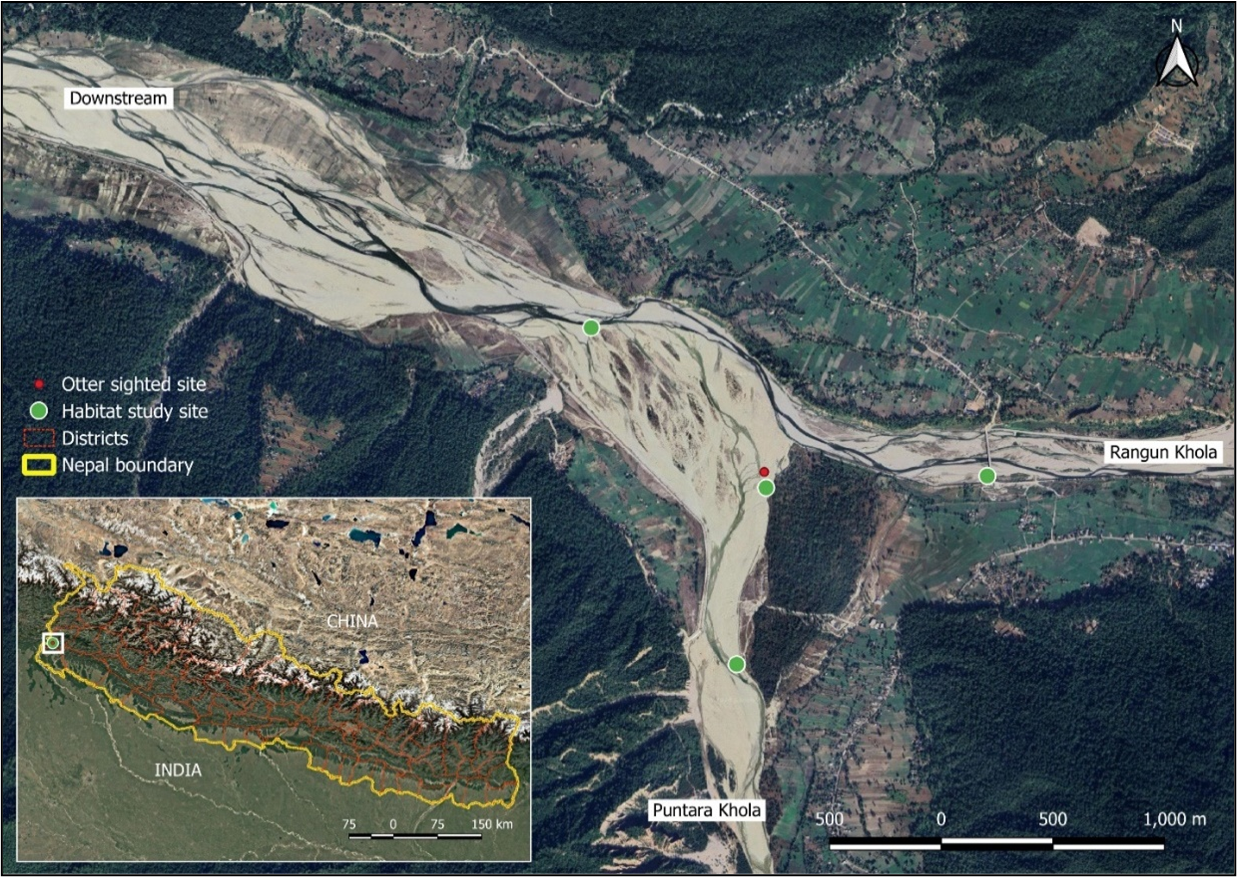 Shrestha_et_al_2025_Fig3-3bedf550417b5aed6886f6f28b0baa6f.png