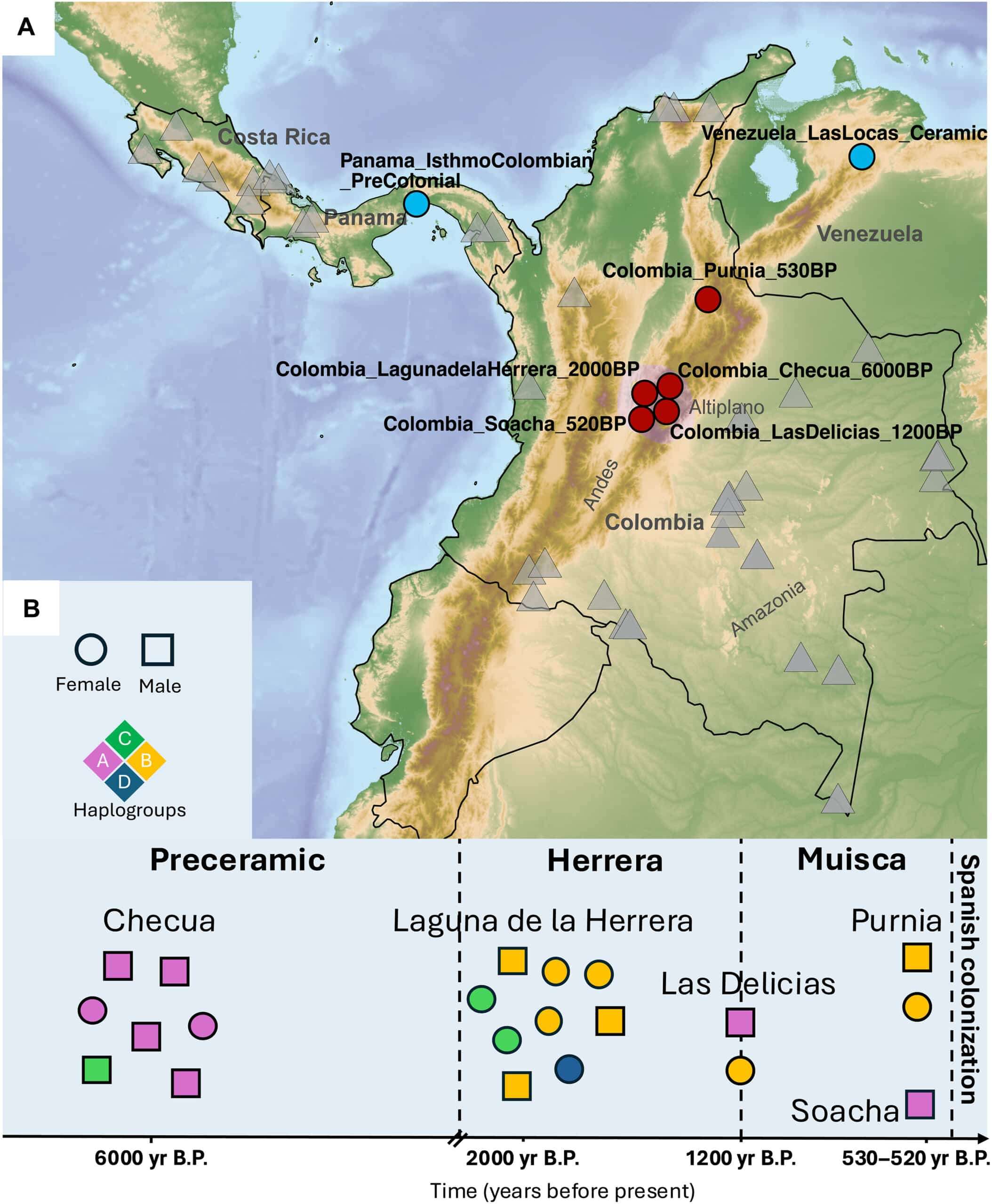 Geographic-and-temporal-framework-of-the-analyzed-ancient-and-modern-individuals-scaled-0bda23236371d8a08d07d39893d34827.jpg