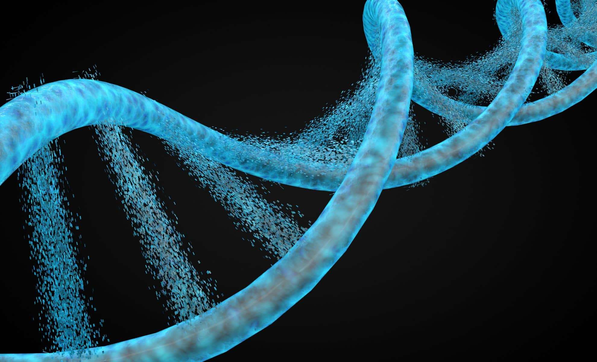 6,000-Year-Old Human Bones Unearth a Genetic Enigma in South America 