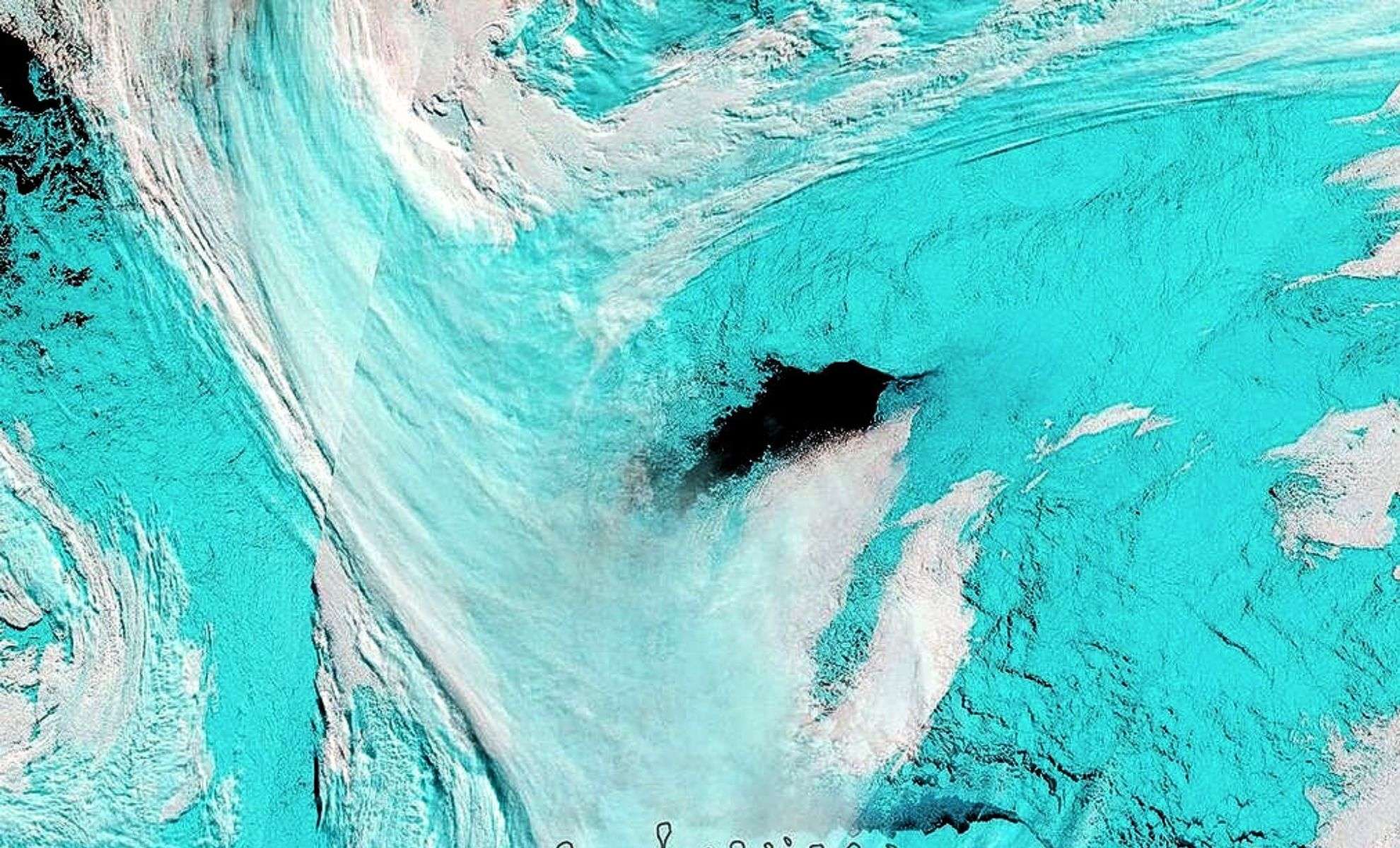 Unraveling the Giant Antarctic Sea Ice Gap: What Caused the Maud Rise Polynya? 