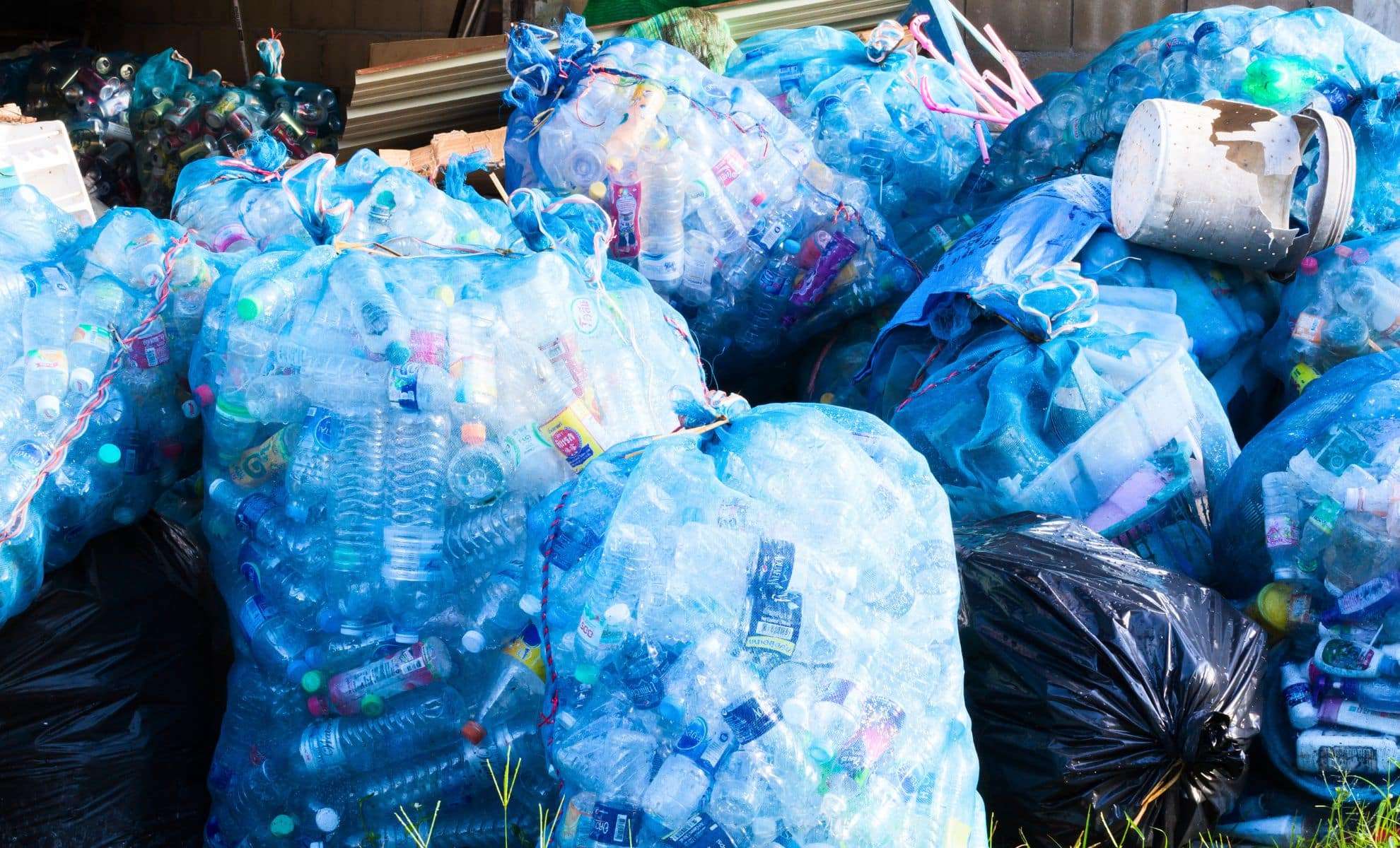 From Cans to Keys: How One Man Turned Recycling into a Home Purchase 