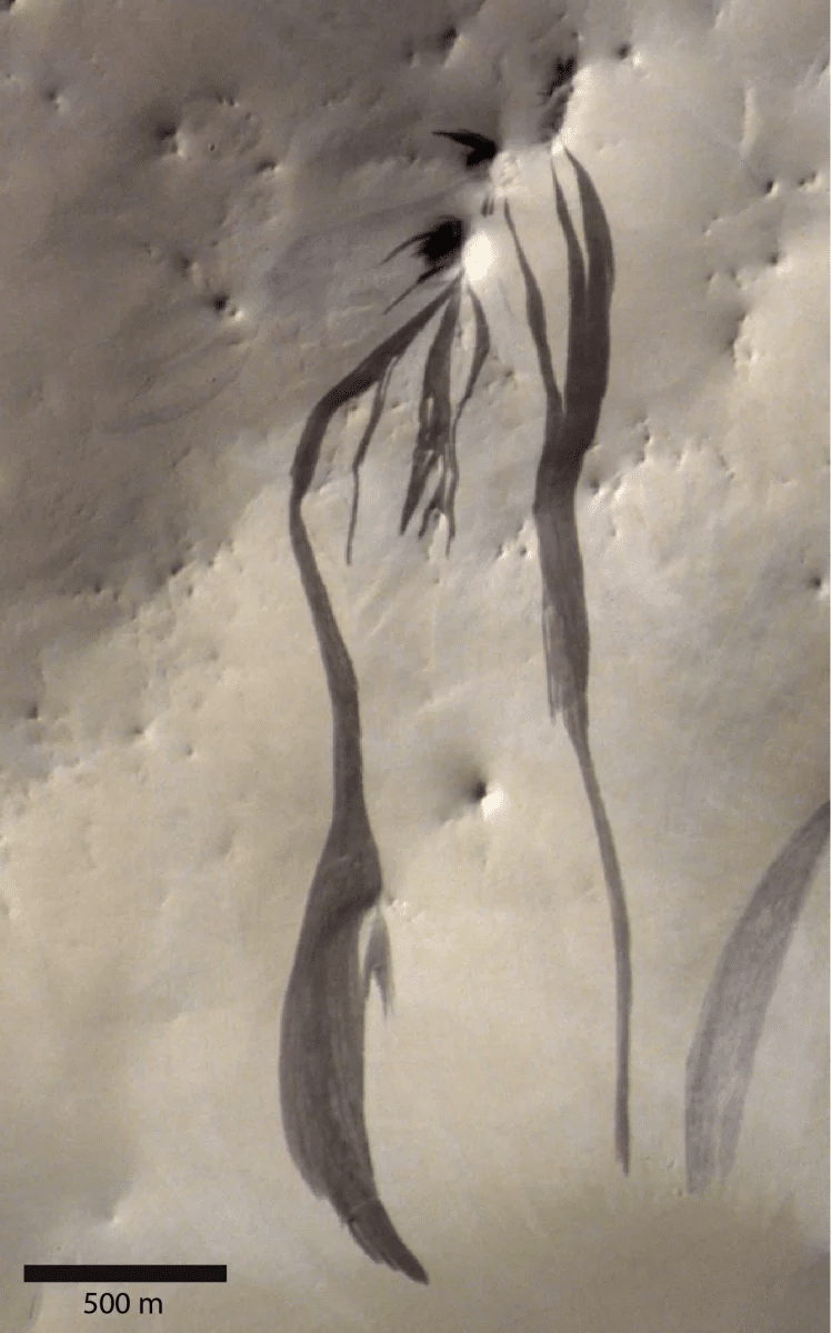 image-2-1183fd8259aabd6c31dd03bac00f2ee7.png