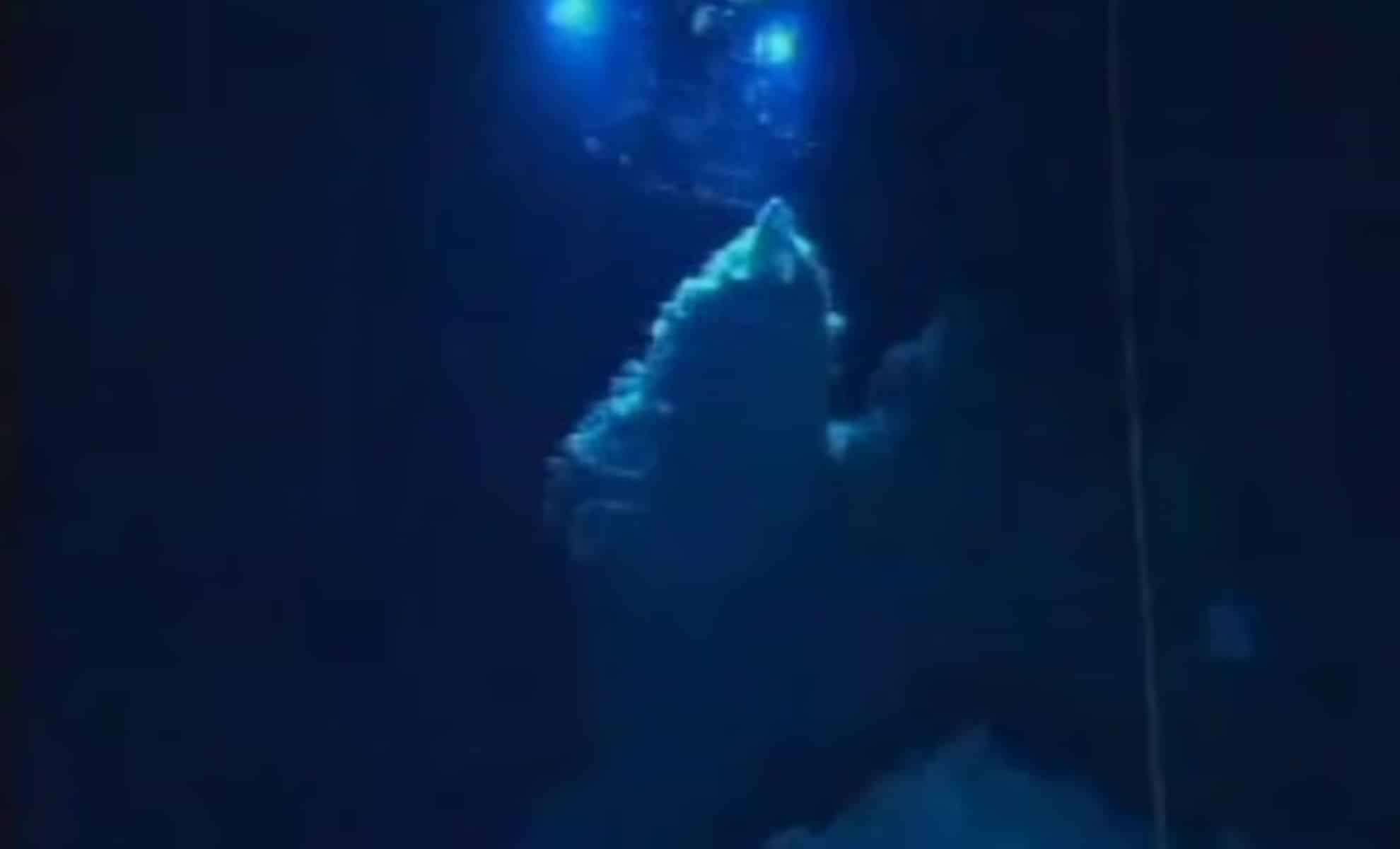 Submerged Ancient ‘Lost City’ Reveals Clues to Life’s Origins 