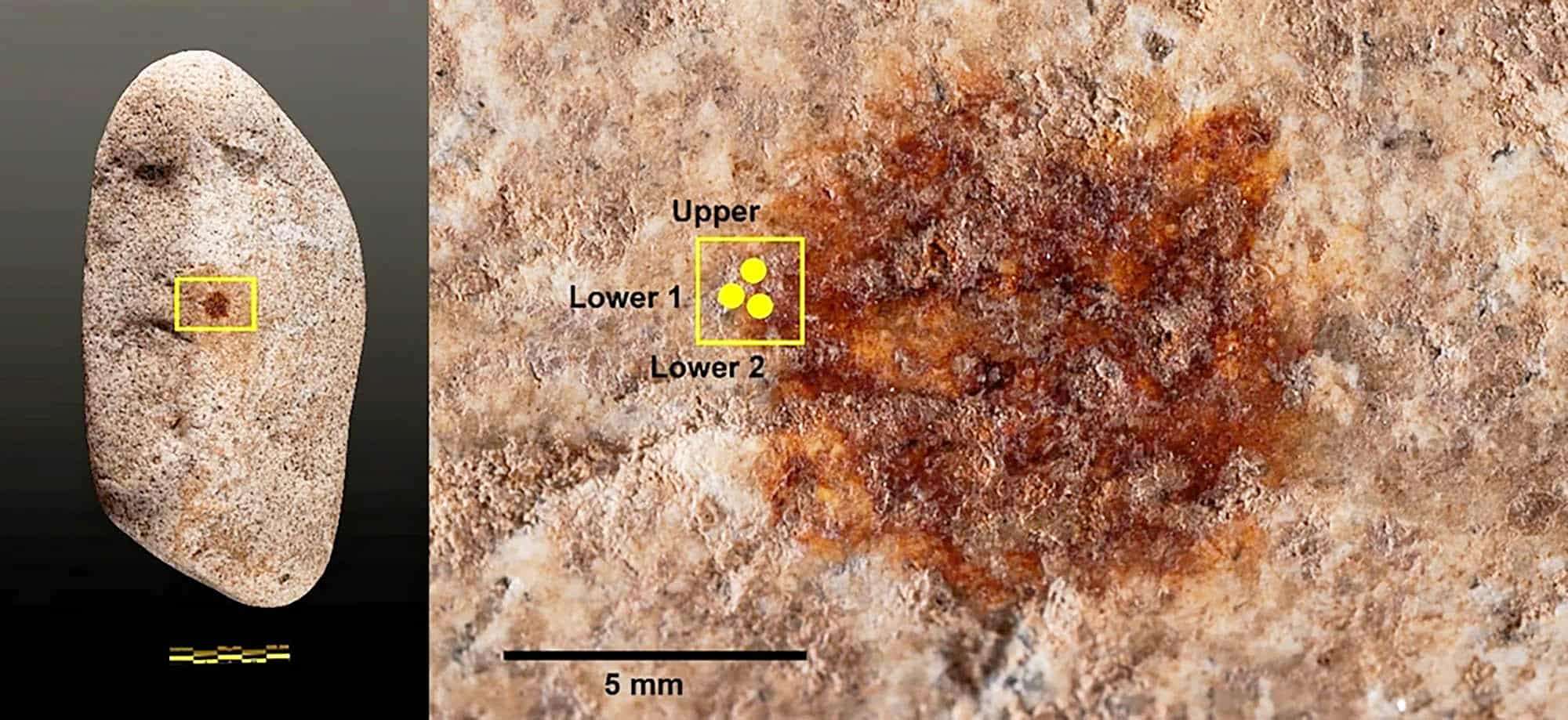 neanderthal_art_fingerprint_red-dot_rock-zones_San-Lazaro-497592fa2f13f4b07258dde09258b410.jpg