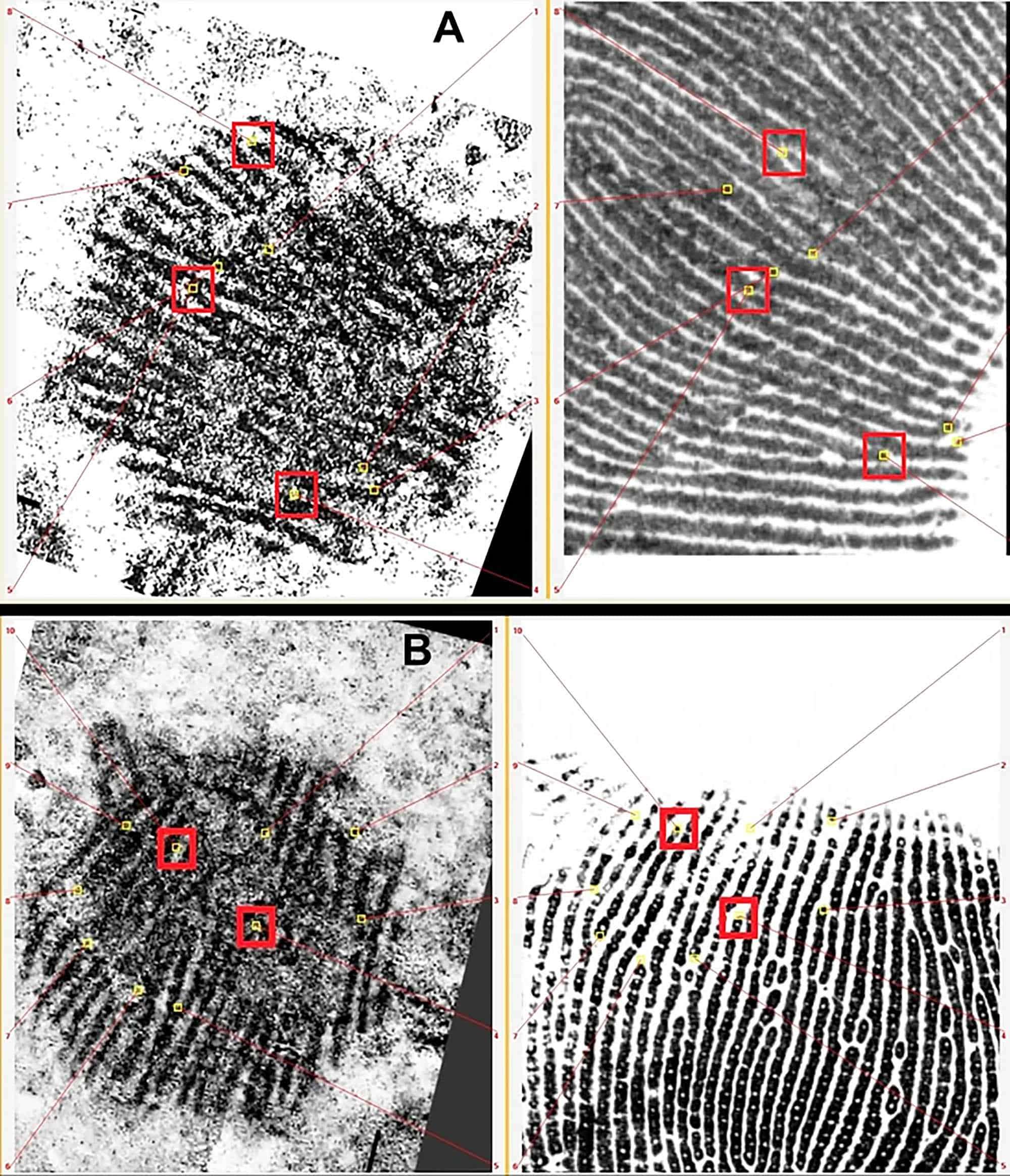 neanderthal_art_fingerprint_red-dot_rock_fingerprints_San-Lazaro-81a1c7588606af5453ac3438563469f8.jpg