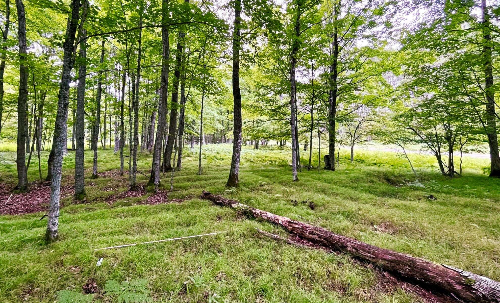 Vast 1,000-Year-Old Indigenous Farming Complex Discovered in Northern Michigan Alters Early Agriculture History 