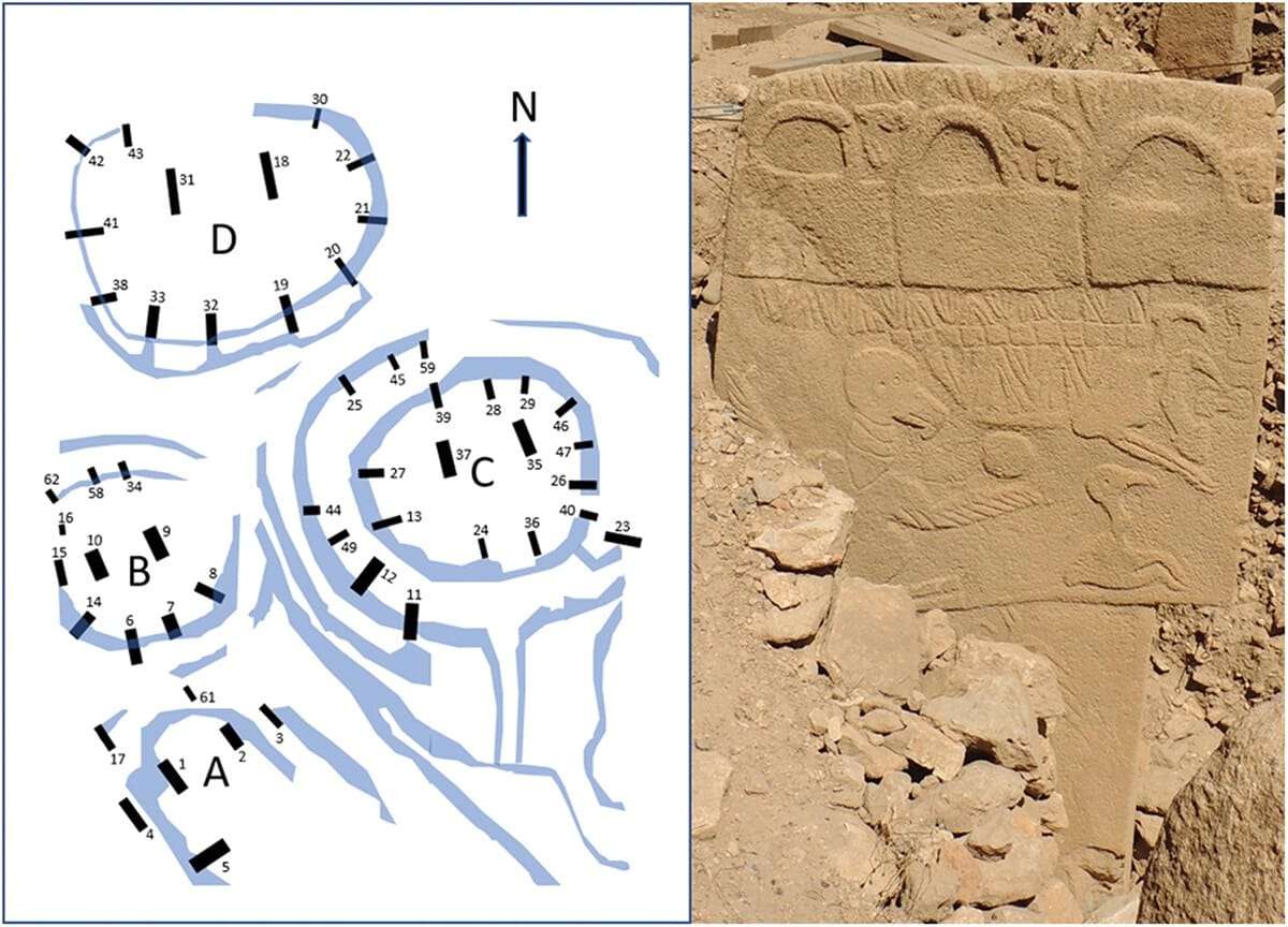 plan-of-enclosures-ad-at-gobekli-tepe-pillar-43-at-gobekli-tepe-enclosure-d-1-b78837463de87a653b4d698a293df790.jpeg