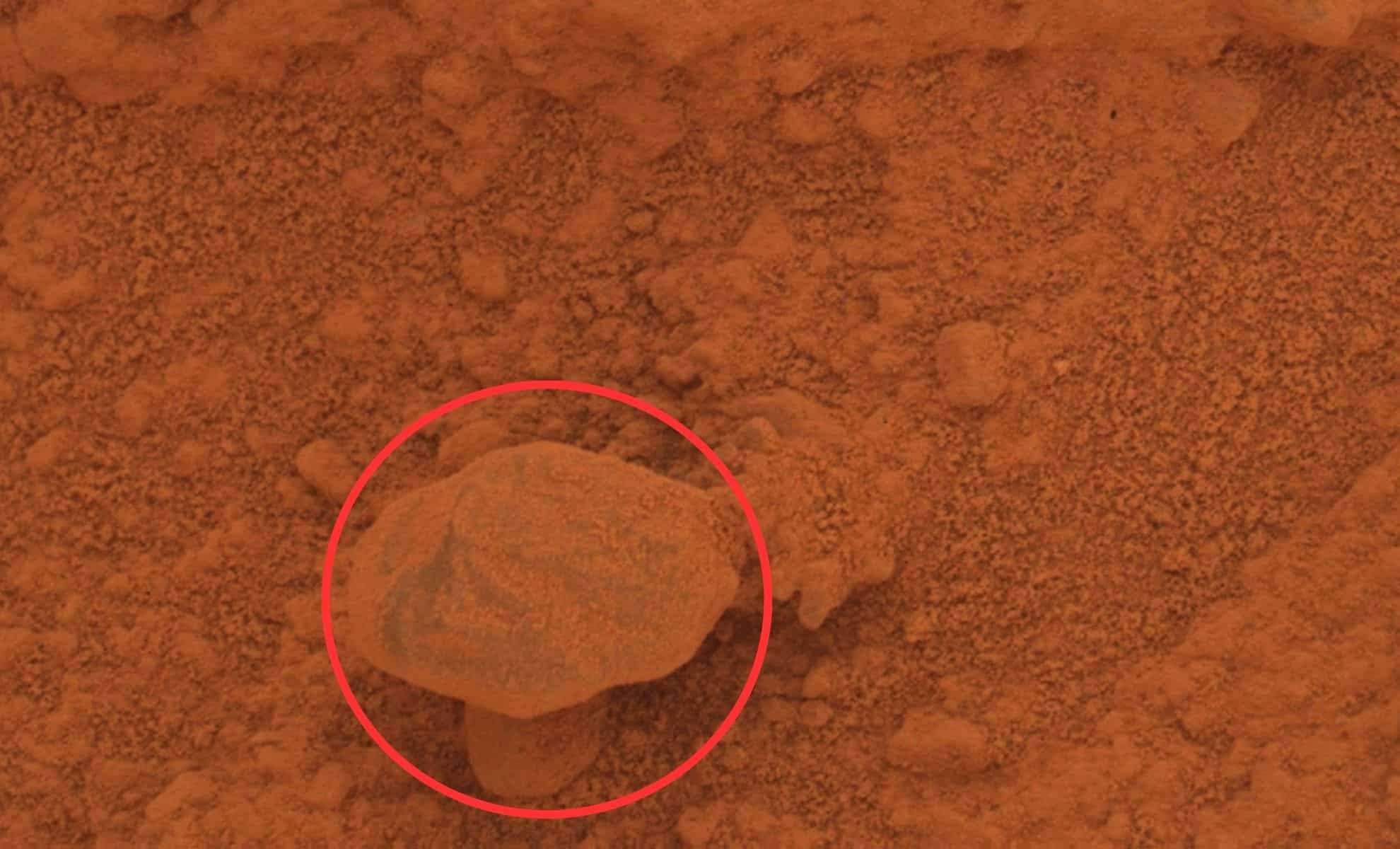 Curiosity Rover’s Strange ‘Mushroom’ Image on Mars Sparks Debate Over Possible Life 