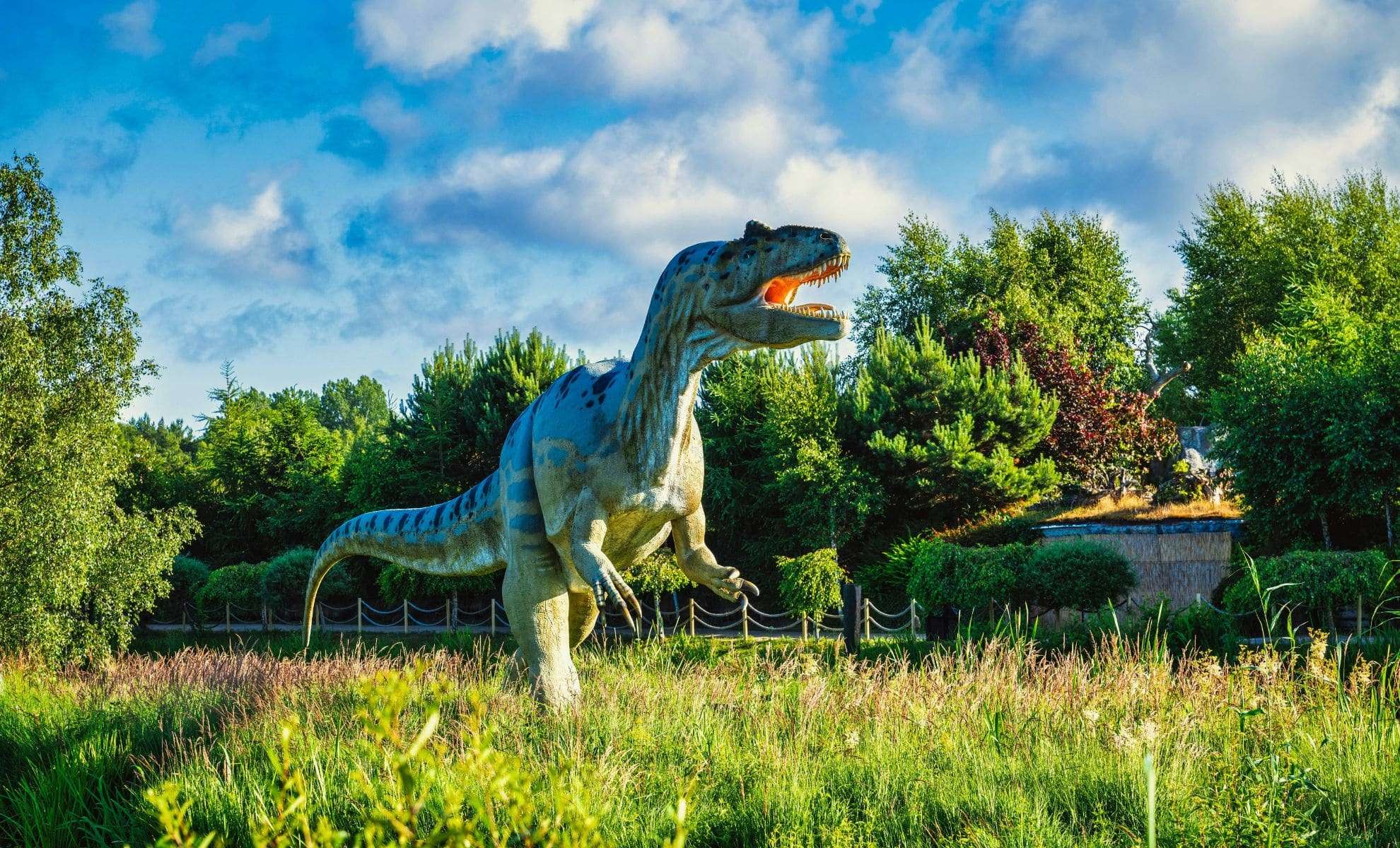 Enormous Dinosaur Courtship Arena Unearthed at Colorado’s Dinosaur Ridge 