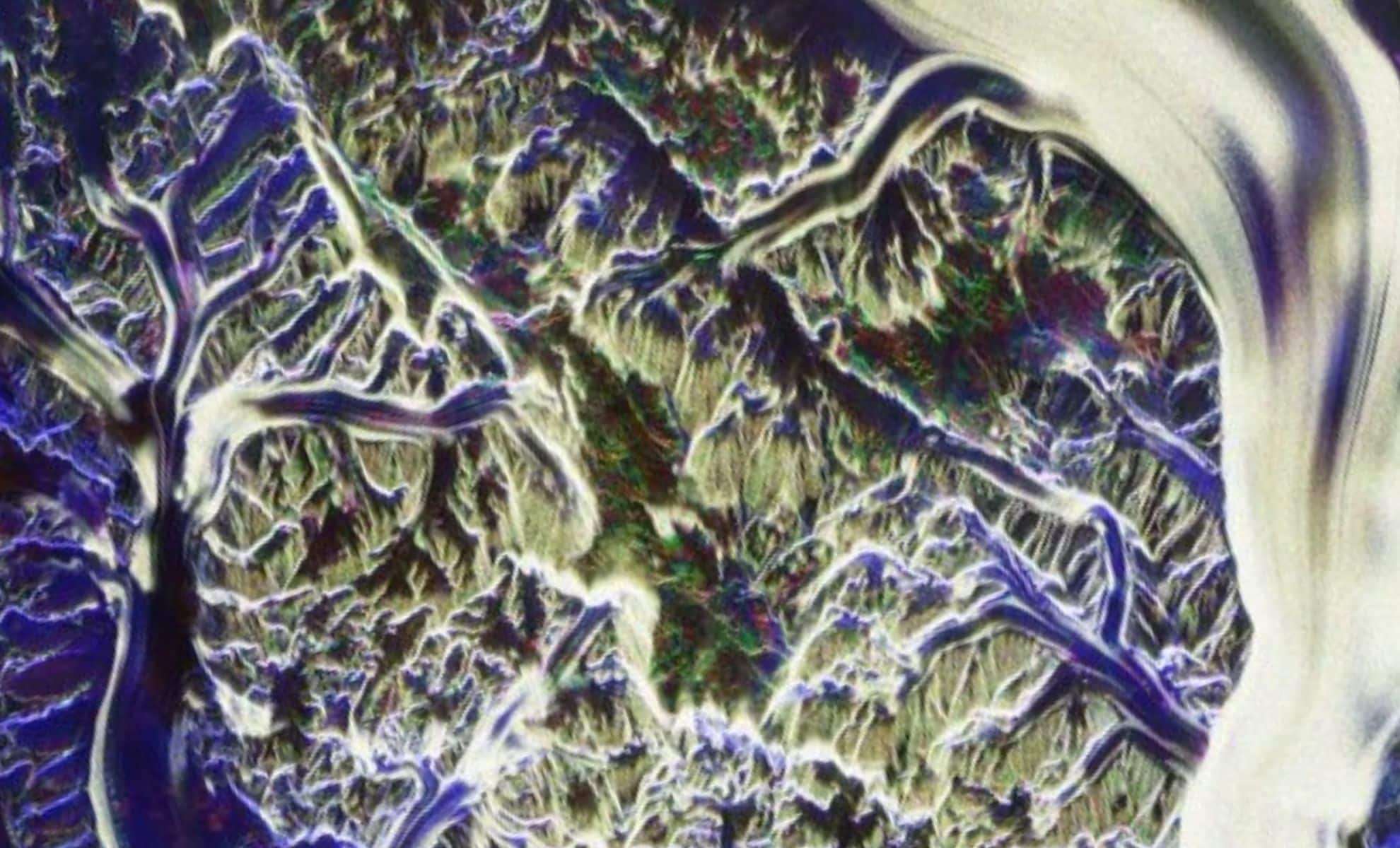 ESA’s Biomass Satellite Unveils Stunning First Images of Pristine Ecosystems 