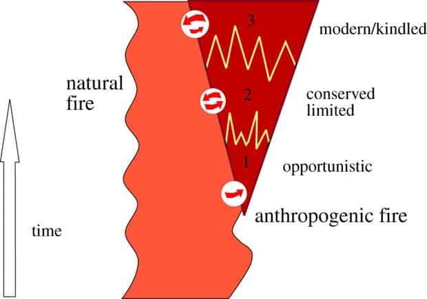 A-putative-general-outline-for-the-development-of-human-fire-use-ce34c1f8f0be215c1745eb9d8de1bce5.jpg