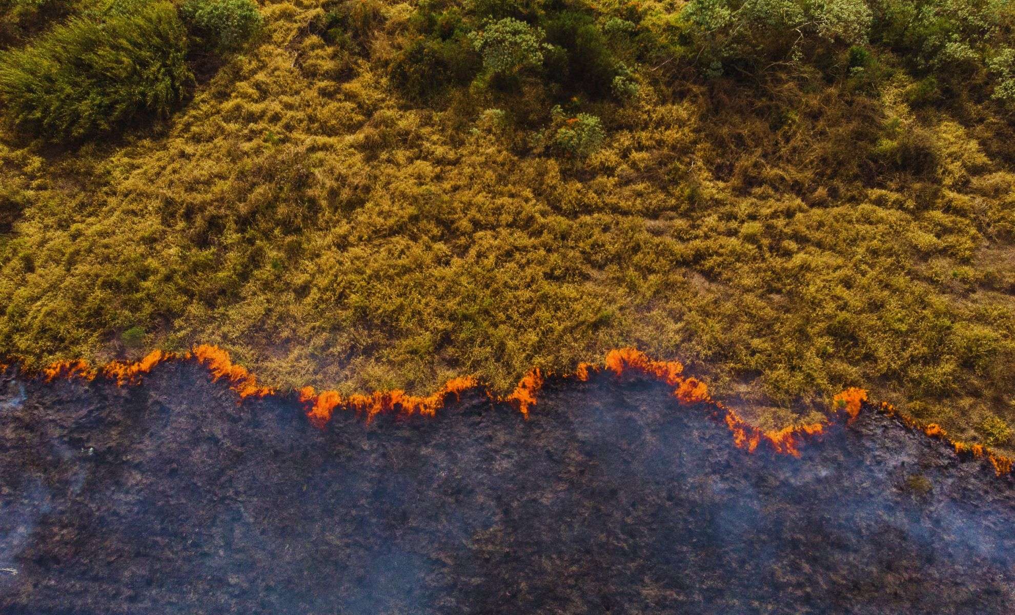 Early Evidence of Climate Change Emerged in the 19th Century, Revealing Long-Standing Human Impact 