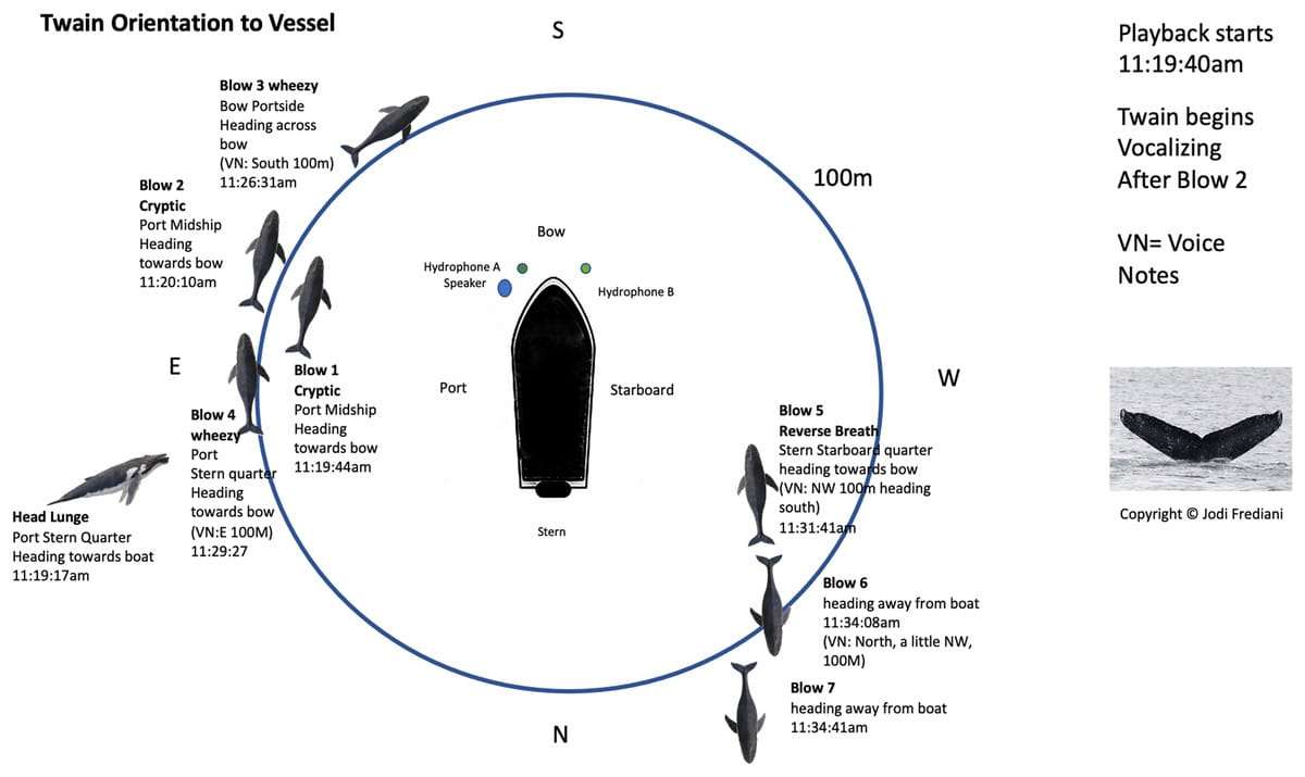 fig-2-2x-608d1a5e978b71360529b258b77d6ba7.jpg