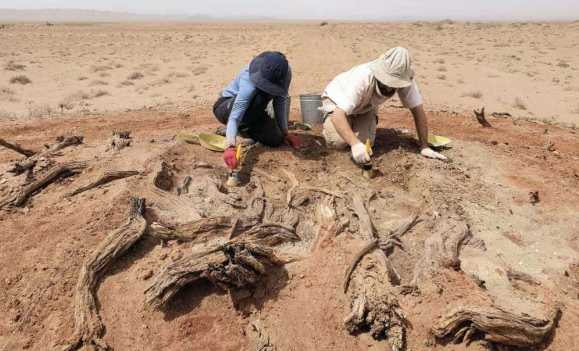 New Research Unveils the True Role of the Gobi Wall in Ancient Mongolia 