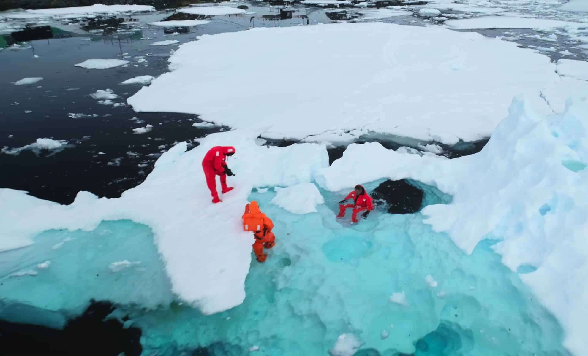 Unexpected Giants: Viruses Found Thriving Beneath Greenland’s Ice Sheet 
