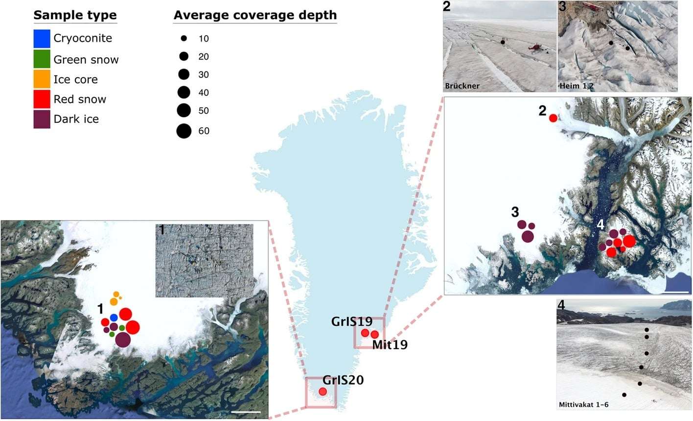 Giant-viral-signatures-on-the-Greenland-ice-sheet-6c44f5e14c0f4467d64909ea0cb81fdf.jpeg