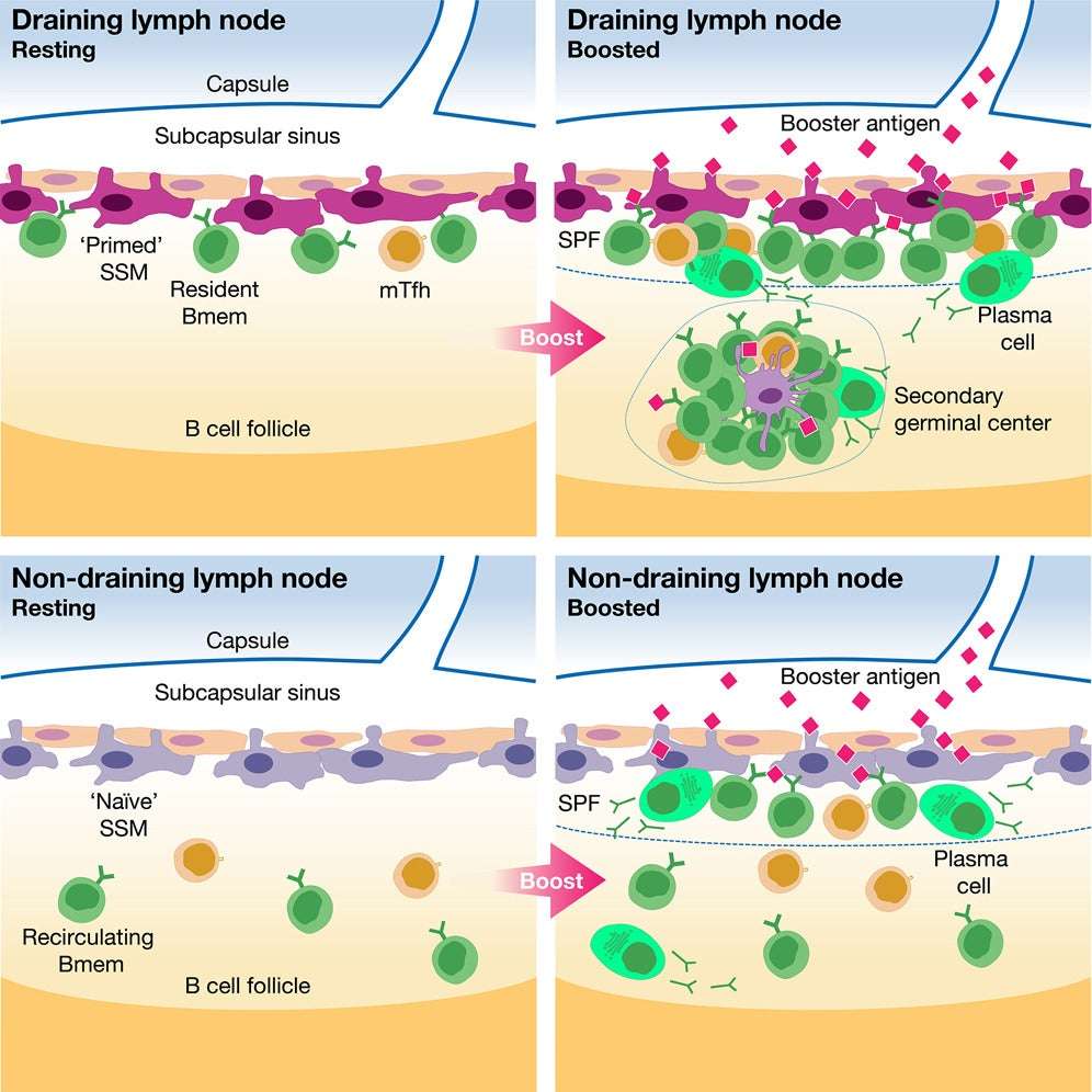 vaccine-location-1-d43a4f260d02d1afc232ce0f7f905c25.jpg