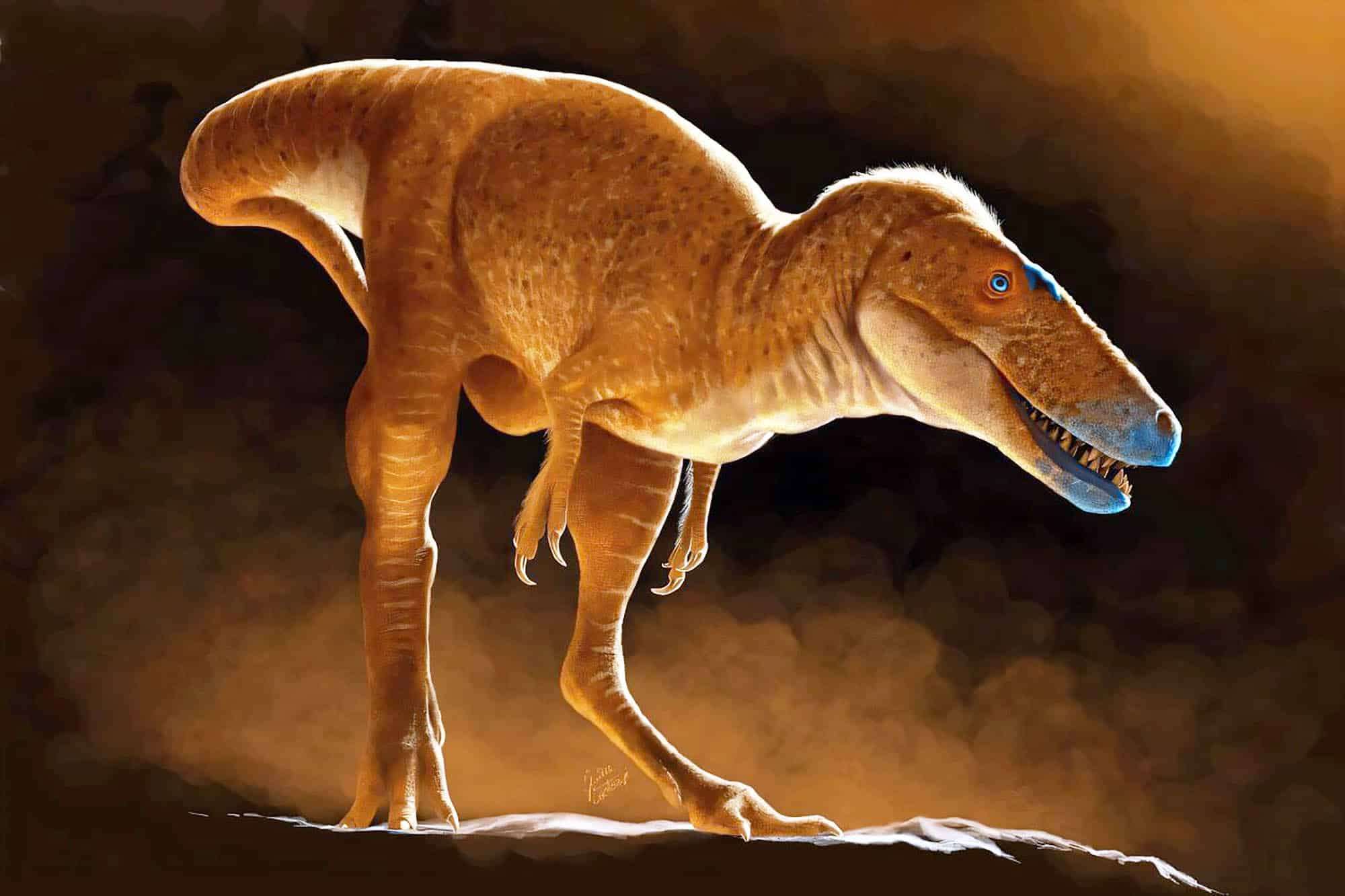dinosaur_t-rex-cousin_Khankhuuluu-mongoliensis-96d69af707534da82d19fda131c13eab.jpg
