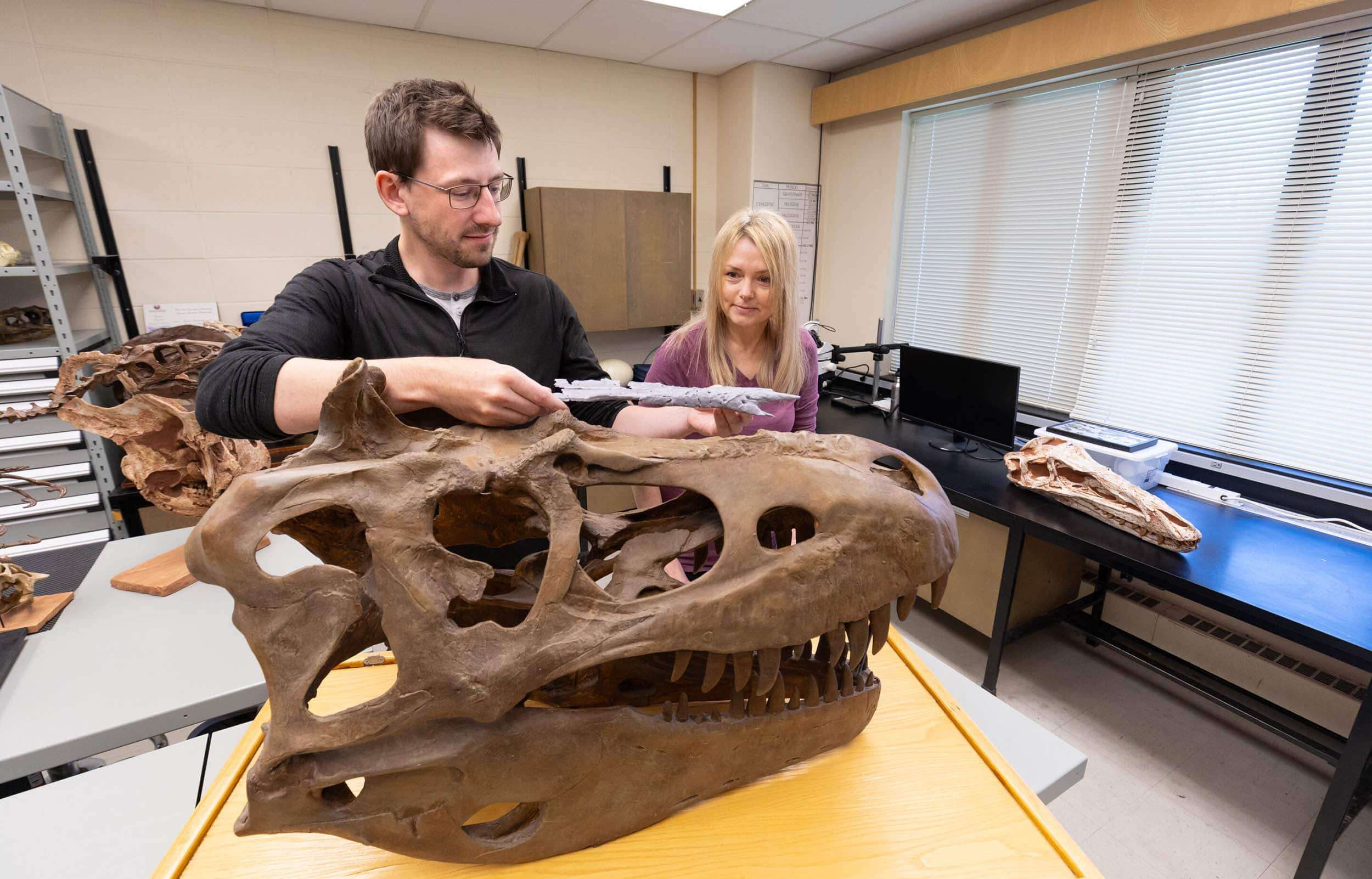 dinosaur_t-rex-cousin_Khankhuuluu-mongoliensis_paleontologists-010f5c7b3272583dbf37342eda34719e.jpg