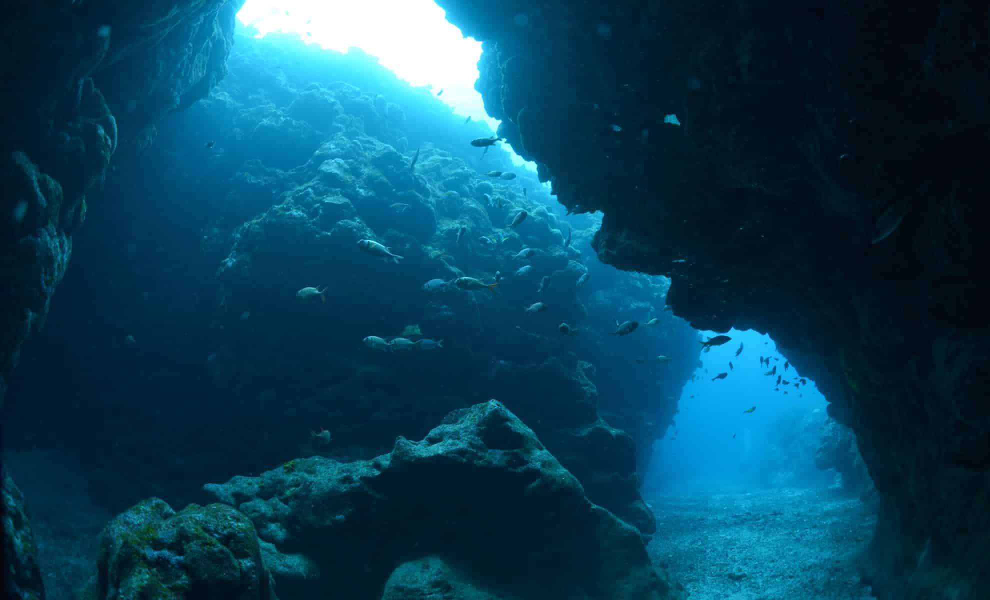 Accidental Find Reveals Submerged Island Rich in Rare Earth Metals 